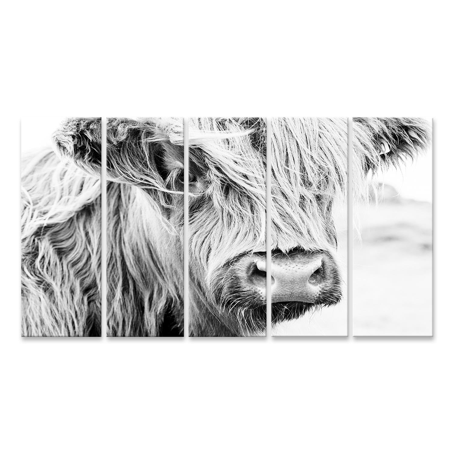 islandburner Bild auf Leinwand Schottisches Hochlandrind Schwarz Weiß Fotografie Bilder Wandbilder 160x80cm