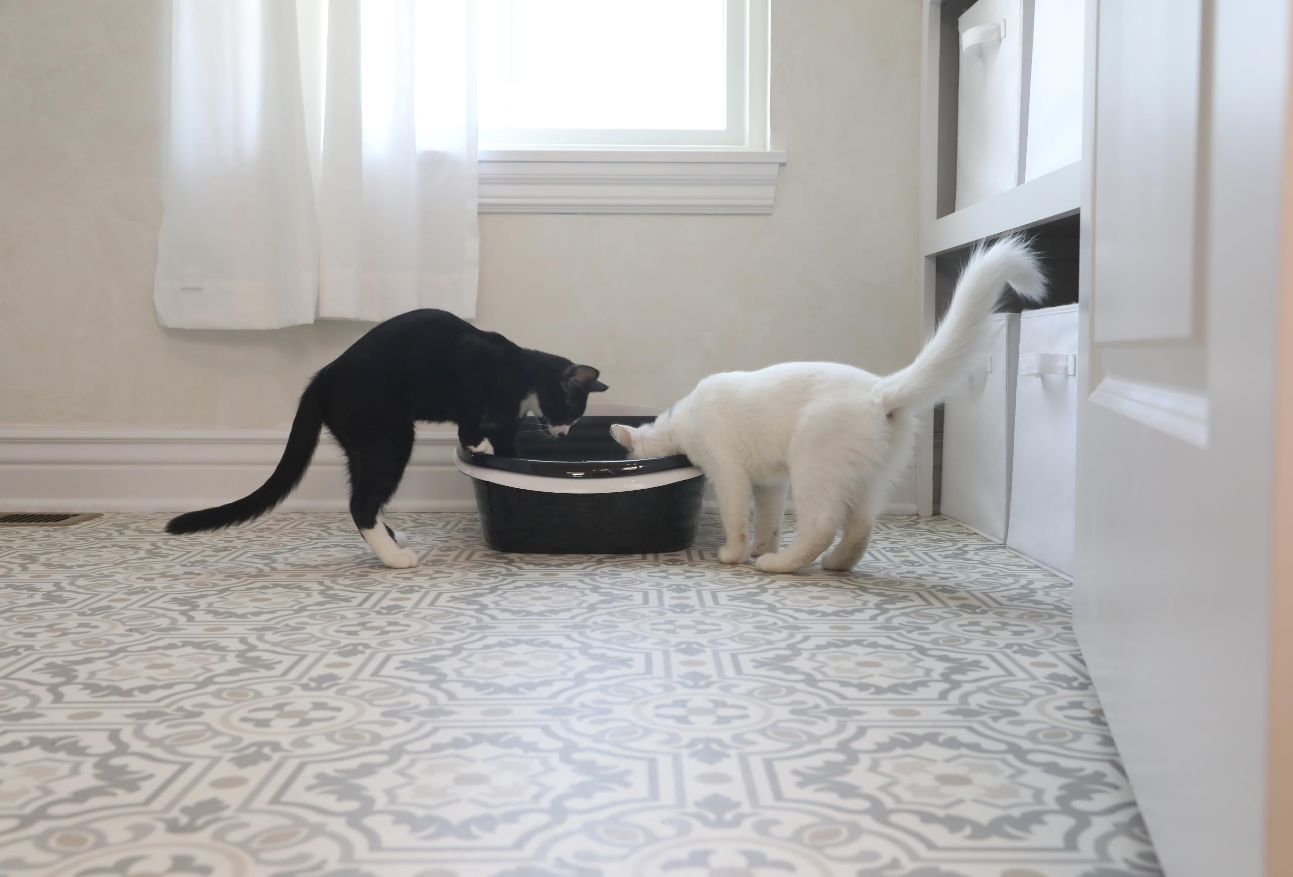 Pet Mate Arm & Hammer - Cacerola Grande