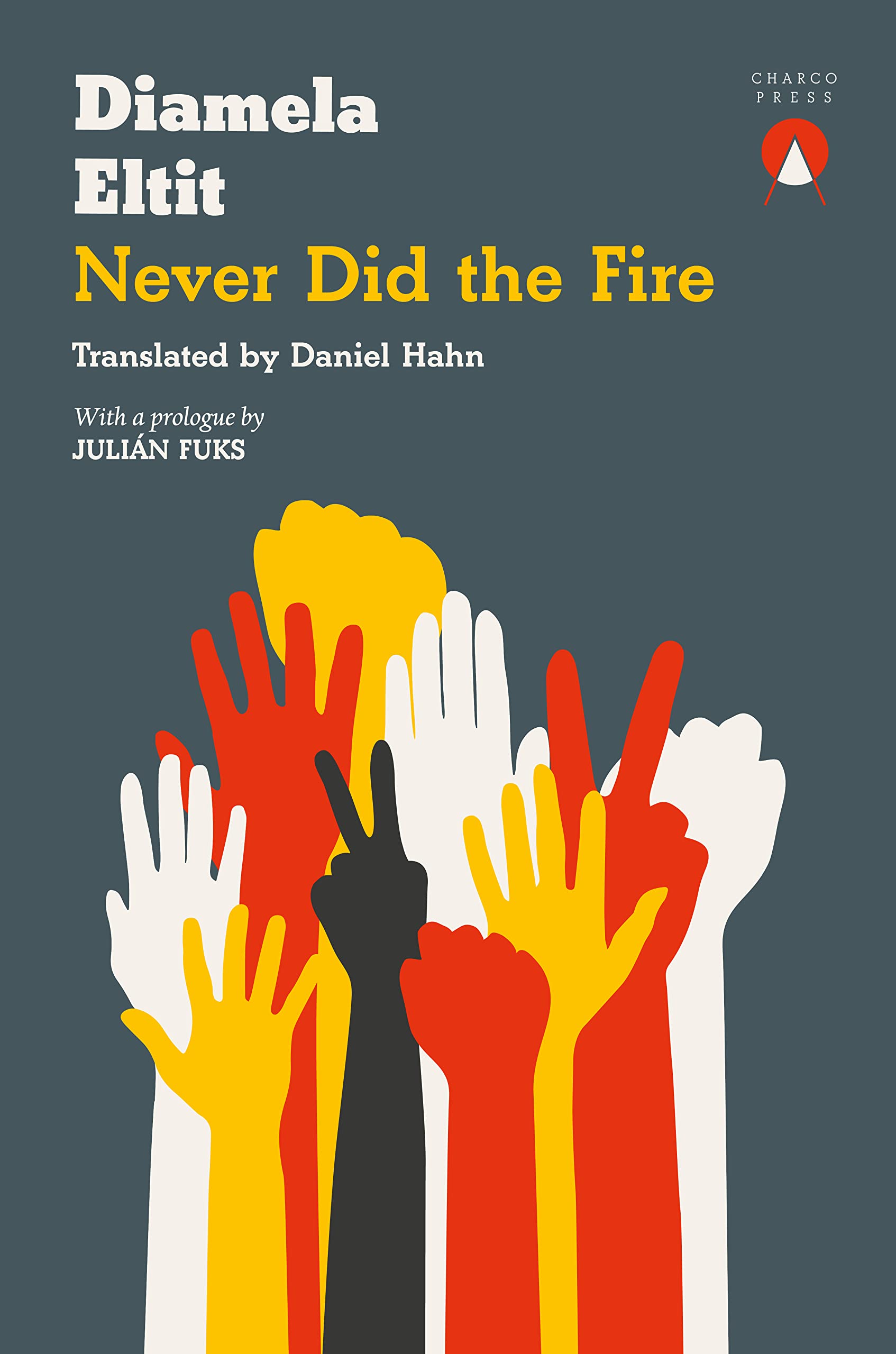 Never Did the Fire by Diamela Eltit (2022, Trade Paperback)