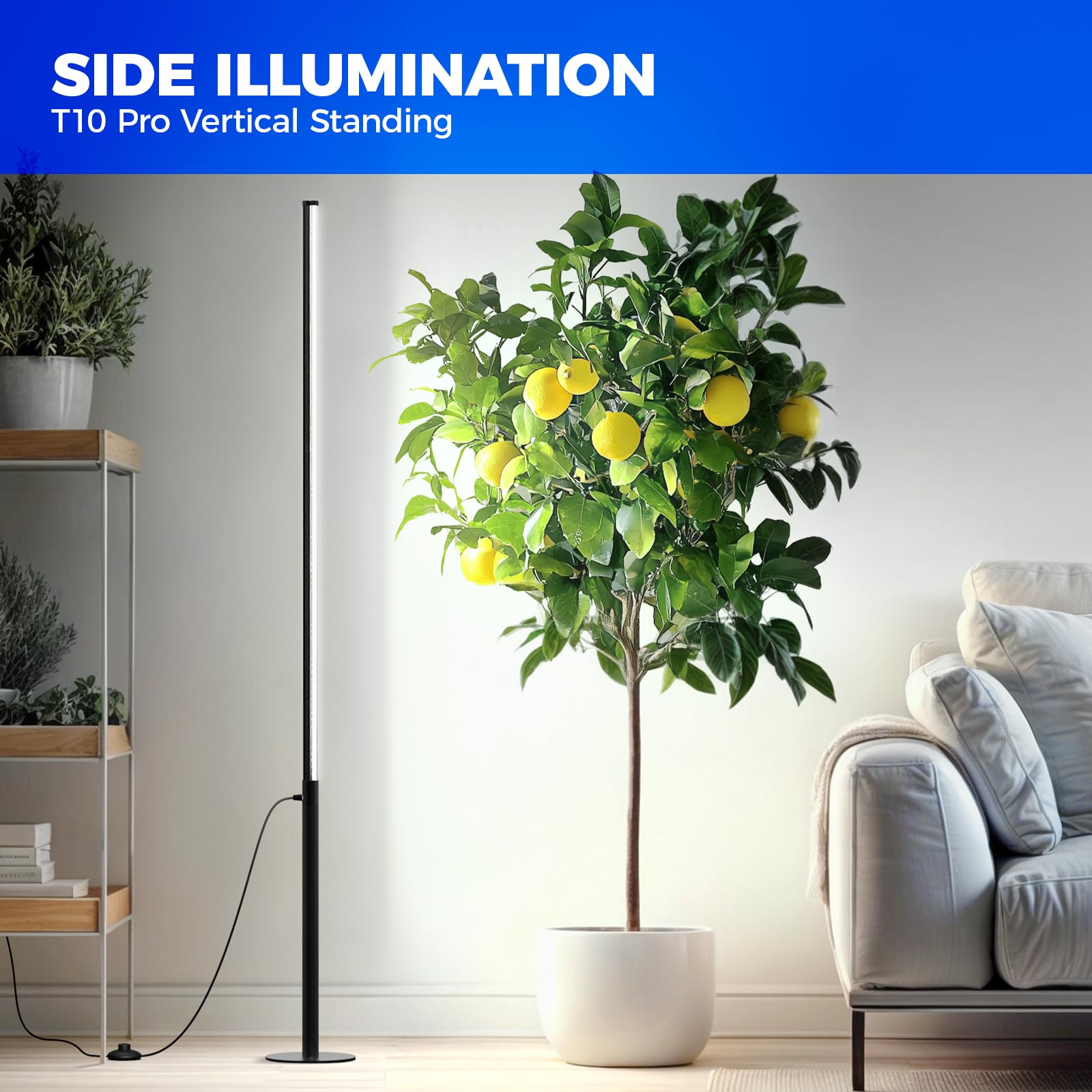 Barrina Lampe de croissance verticale T10 Pro 42 W, 5000 K, spectre complet pour plantes d'intérieur, couverture large, 115-165 cm, minuteur, interrupteur à pied