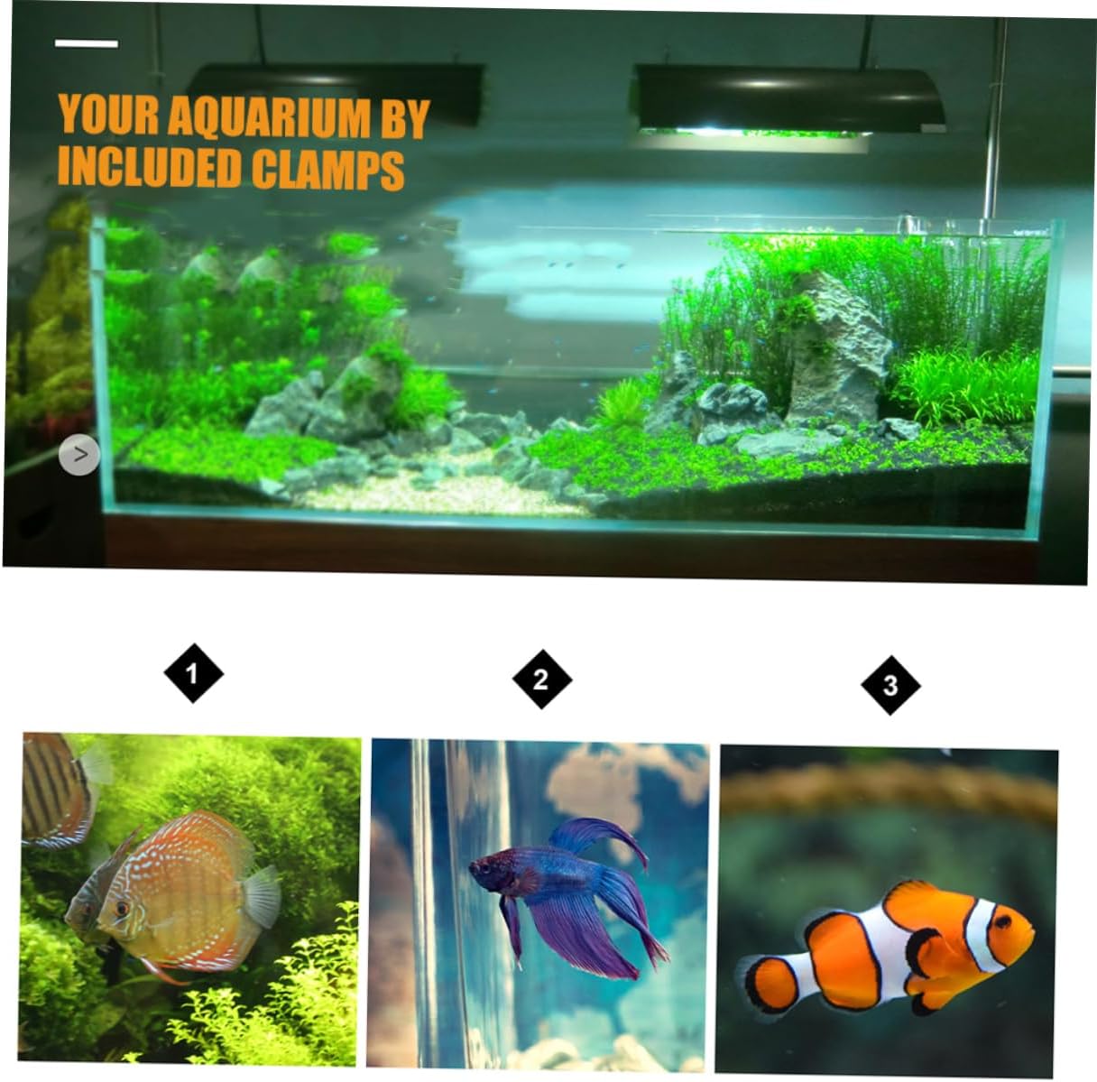 Kisangel 1 Set Fish Tank Divider Fish Tank Partition Fish Separator Aquarium Isolation Board Fish Separator for Aquarium Betta Tank Separator Fish Divider Aquarium Dividers Abs Black