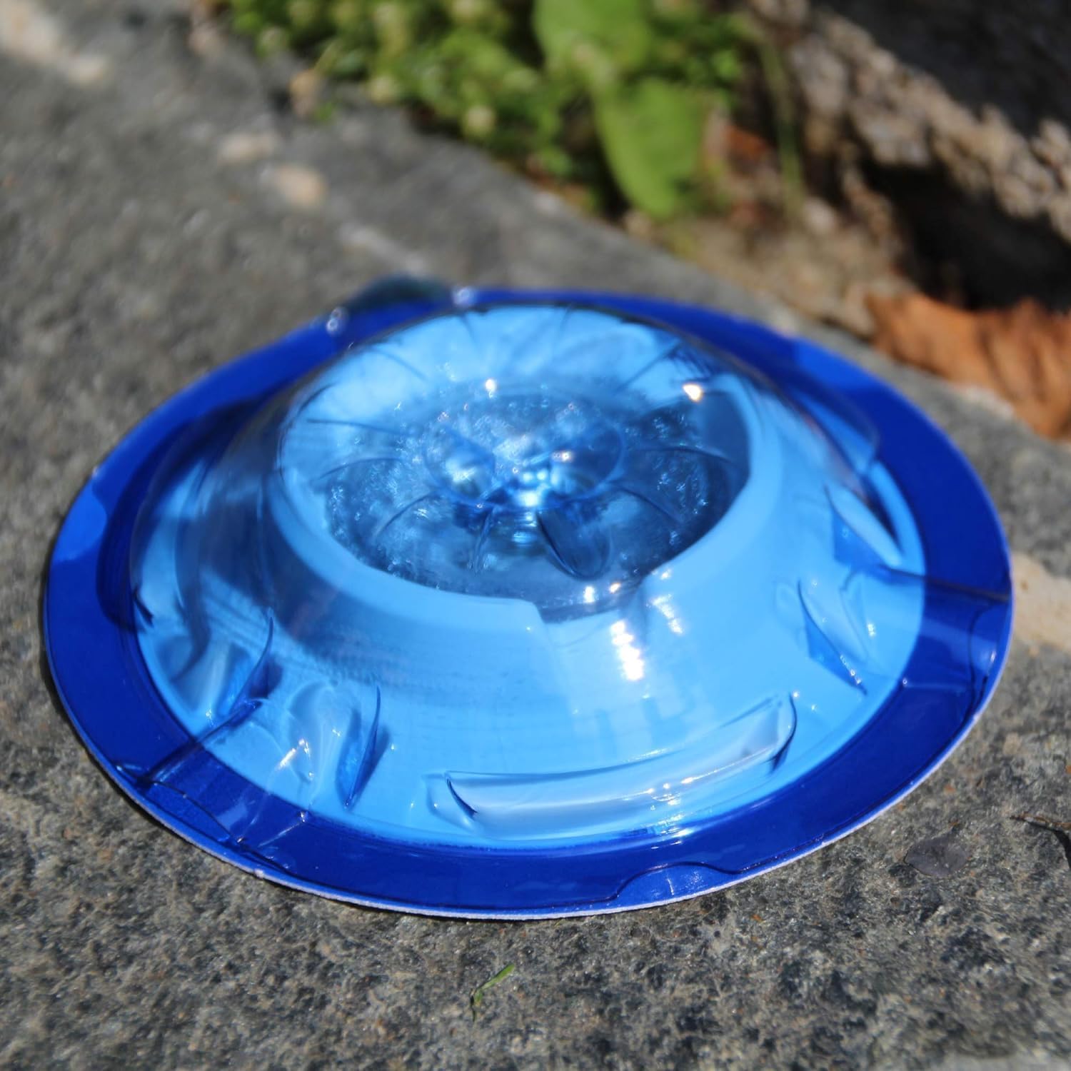 Protect Home Cebo para Hormigas en Gel, antihormigas para Uso Interior y Exterior, 2 trampas (Pack de 3), Azul, Talla Única