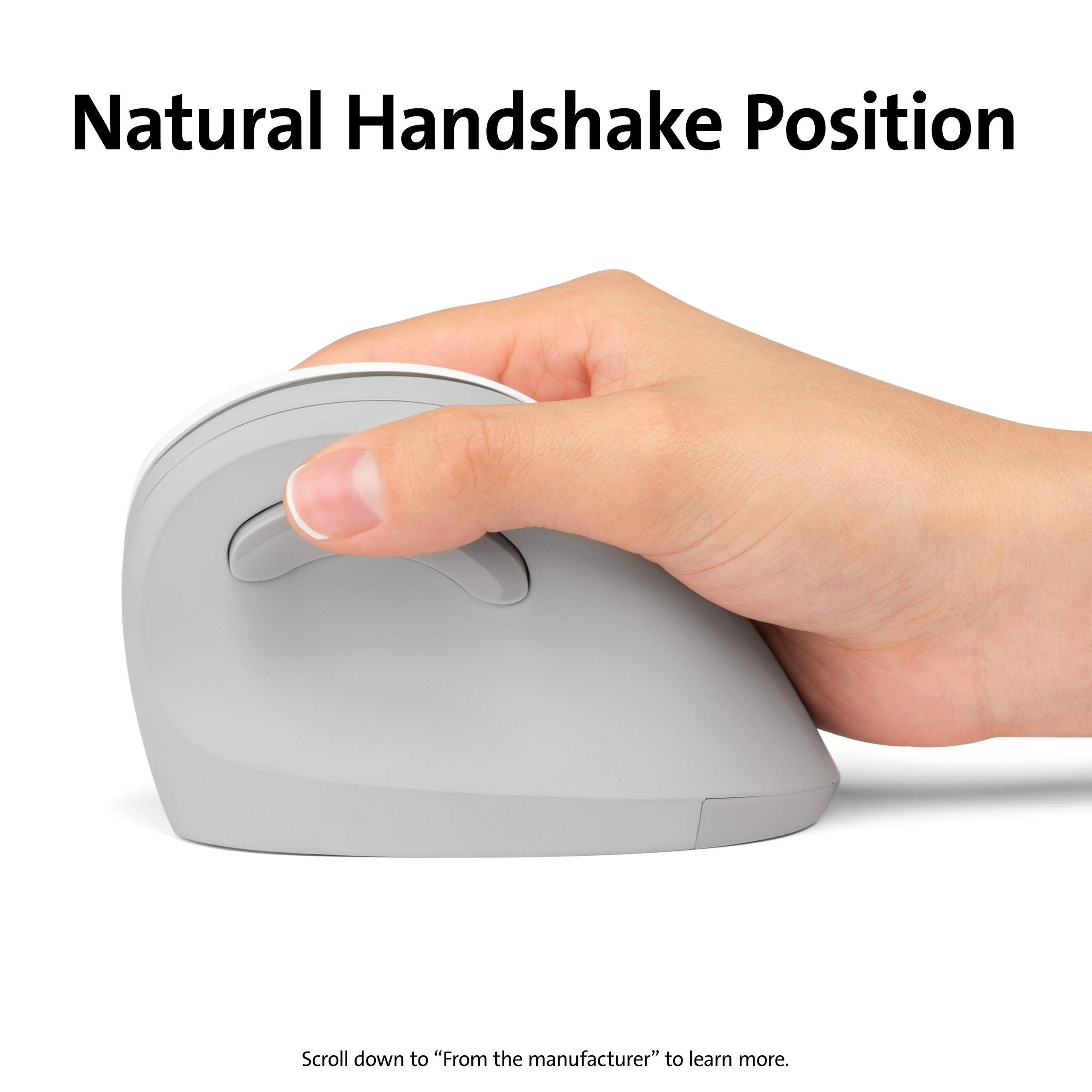 Amazon.com: Kensington Pro Fit Ergo Vertical Wireless Mouse