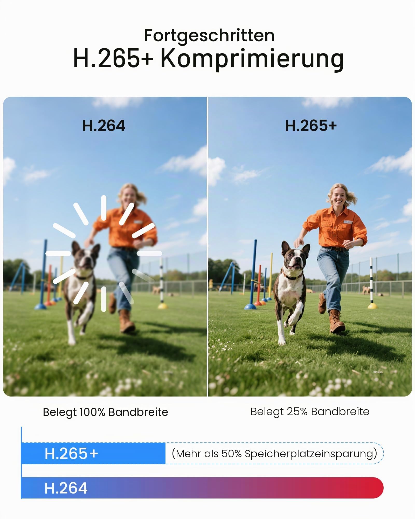 ZOSI 16CH 1080P H.265 + Überwachungskamera + DVR 4 TB, KI-Erkennung von Personen und Fahrzeugen für Heimüberwachung 24/7, Nachtsicht 24 m, Sofortwarnung und Fernzugriff