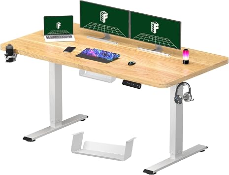 FLEXISPOT E1 Electric Standing Desk ONE PIECE Height Adjustable Sit Stand Desk with Memory Smart Panel120 * 60cm, Maple