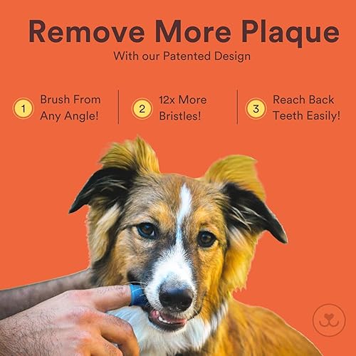 Miniatura 19 de Jasper Cepillo de dientes para perros, kit de cepillado de dientes de perro de 360 grados, cepillo de dientes para gatos, kit de cuidado dental