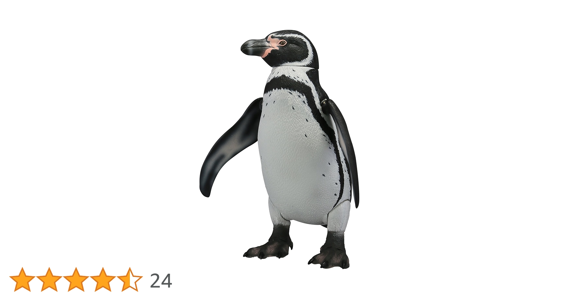 71syWhRLL-L.jpg_BO30,255,255,