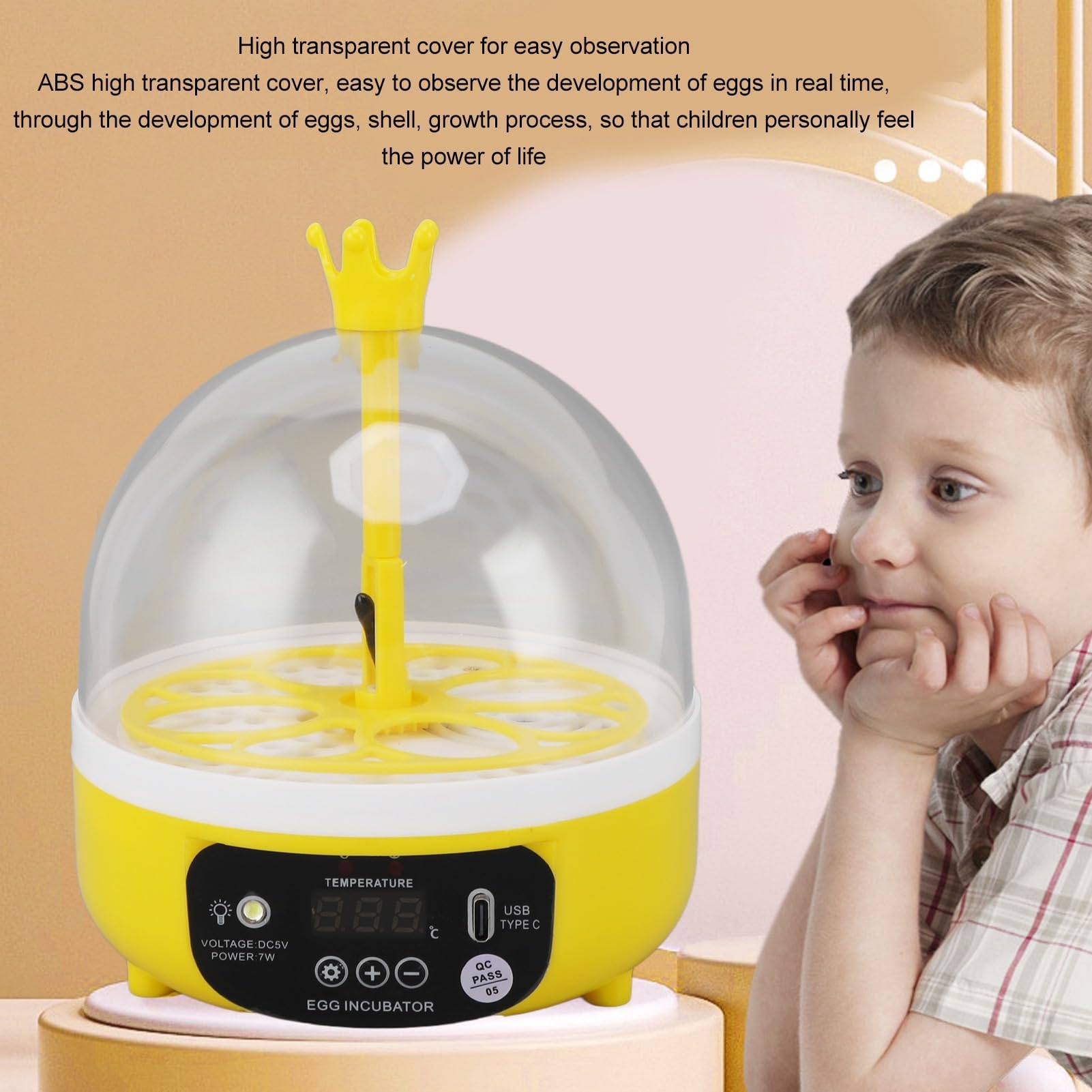 Mini incubatrice per uova con controllo automatico della temperatura, Coperchio Trasparente, Cova Multifunzionale, Alta Efficienza, Bassa rumorosità, Compatta e