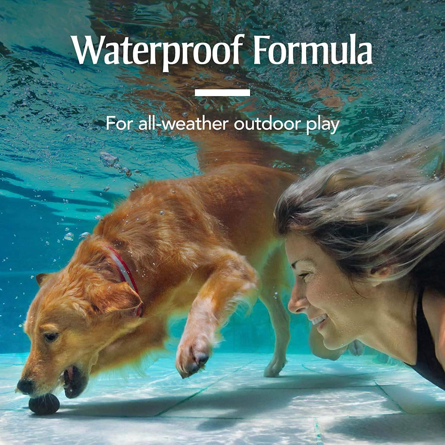 Buy PetArmor Plus Flea & Tick Prevention for Dogs, Waterproof Topical