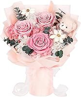SOLUNOX Preserved Pink Roses Bouquet with Bear - 3 Real Forever Flowers, Long-Lasting Eternal Bouquet for Anniversary Birthday Valentine's Gifts for Women