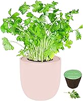 Vista 14 de Kit de cerámica rosa para cultivo de hierbas hidropónicas, kit de iniciación de jardín de cocina con riego automático con semillas orgánicas