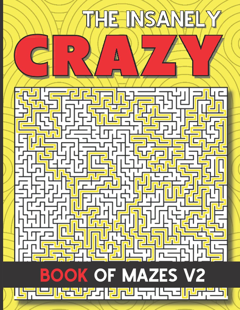 Maze Book for Kids 8-12: A Fun Maze Activity Book for Children | The Insanely Crazy Book Of Mazes V2