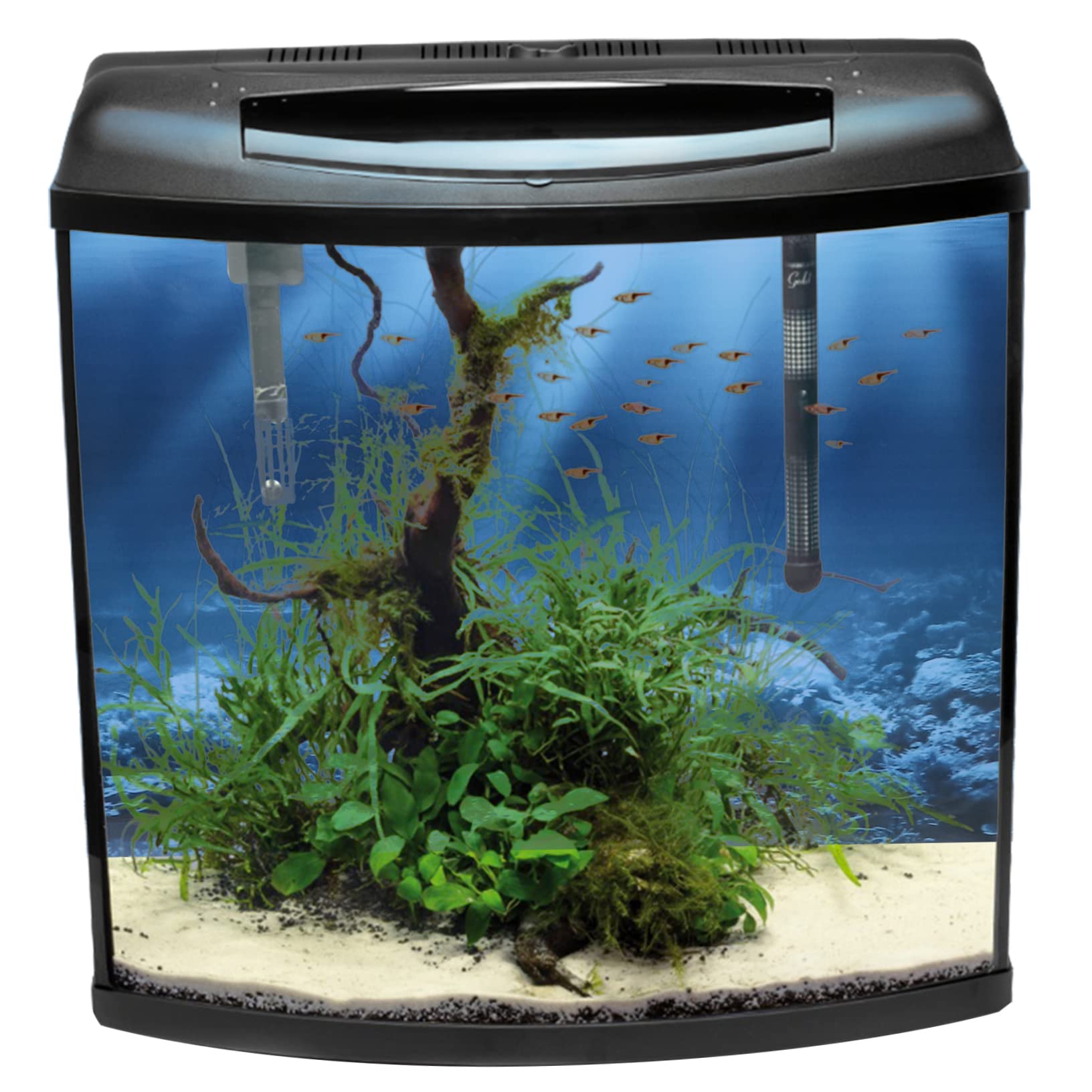 Beaupretty 2pièces Poster Décoratif pour Aquarium Autocollant Arrière-Plan De Poissons Et Décoration Murale pour Réservoir Eau
