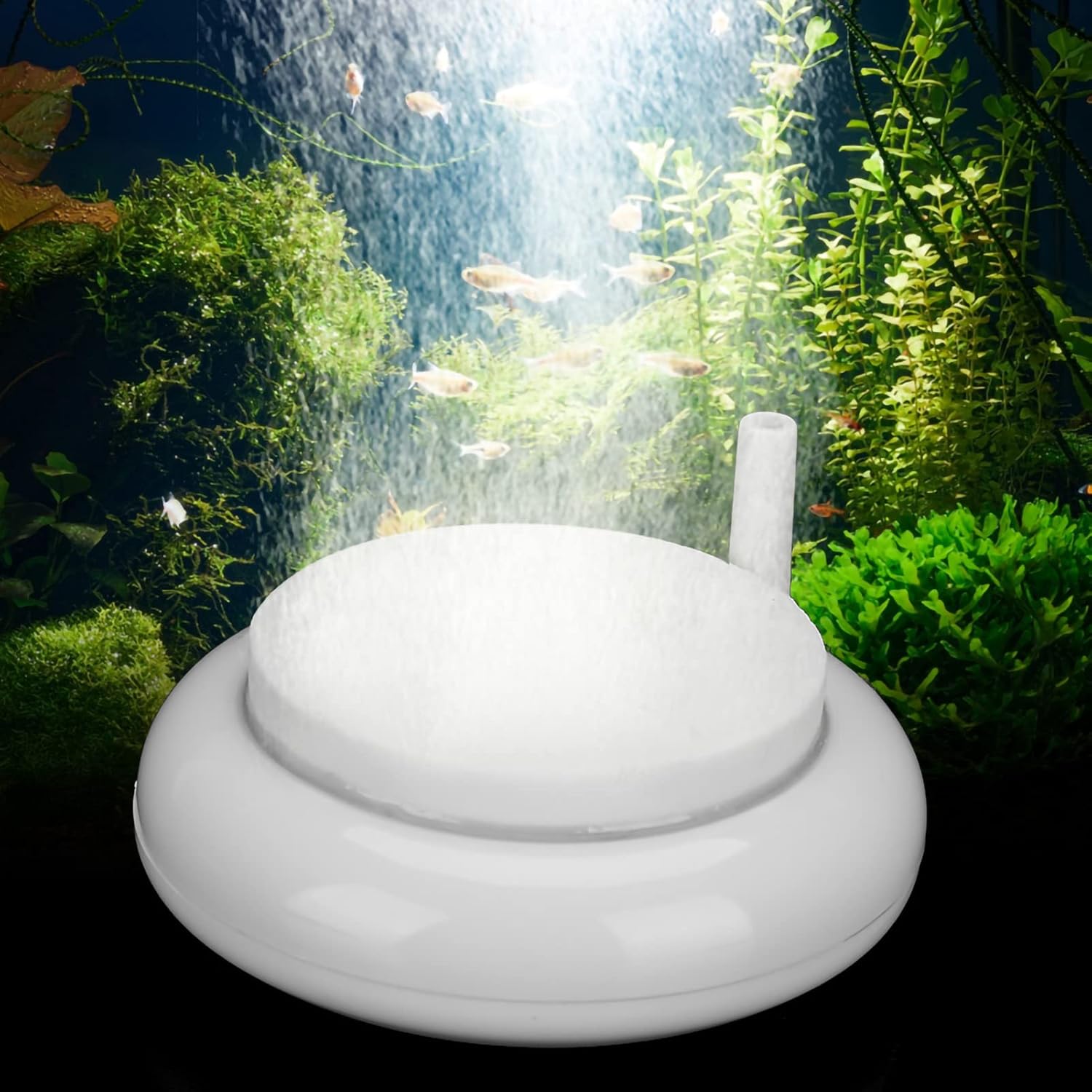 Aquarium Air Stone, Fish Tank Bubble Oxygen Diffuser, Fish Tank Aquarium Air Refiner, Air Disk Oxygen Pump Nano Bubble Stone Oxygen Increasing (N-200)