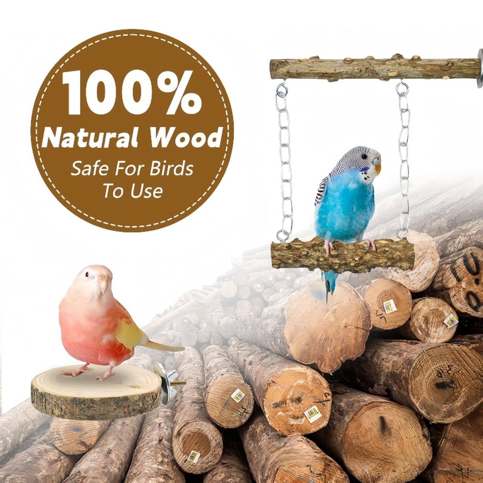 Kit d'Accessoires pour Oiseaux, Nid de Noix de Coco Naturelle avec Perchoirs en Bois de Sichuan, Balançoire et Plateforme, Adapté aux Perruches, Perroquets et Oiseaux de Petite Taille