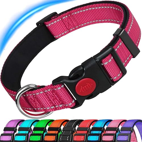 Dog Collar, Reflective Adjustable Basic Dog Collar with Soft Neoprene Padding