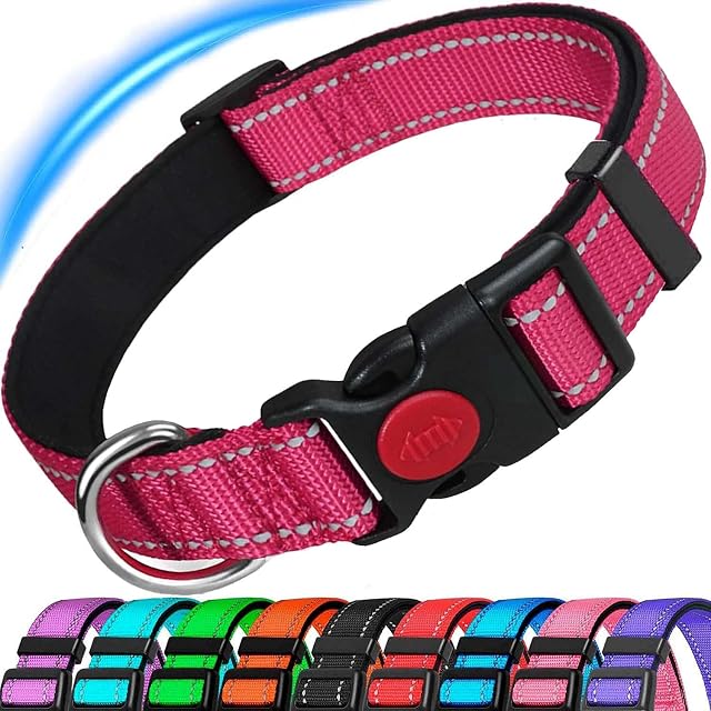 Dog Collar, Reflective Adjustable Basic Dog Collar with Soft Neoprene Padding