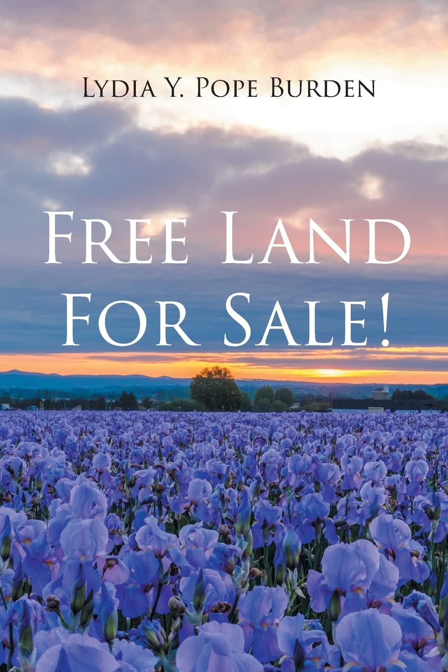 Free Land For Sale! Pope Burden, Lydia Y 9781662487095 Books