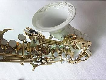 ソプラノカーブドサックス 金具付きマウスピースとリード8本付き Amazon | サックス カーブドソプラノサックス ホワイトサックス 楽器