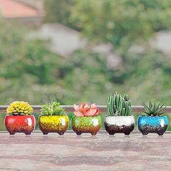 新品「多肉植物の欲しがる植木鉢」3号相当 特価12個セット 送料無料！ 新品「多肉植物の欲しがる植木鉢」3号相当 特価12個セット 送料