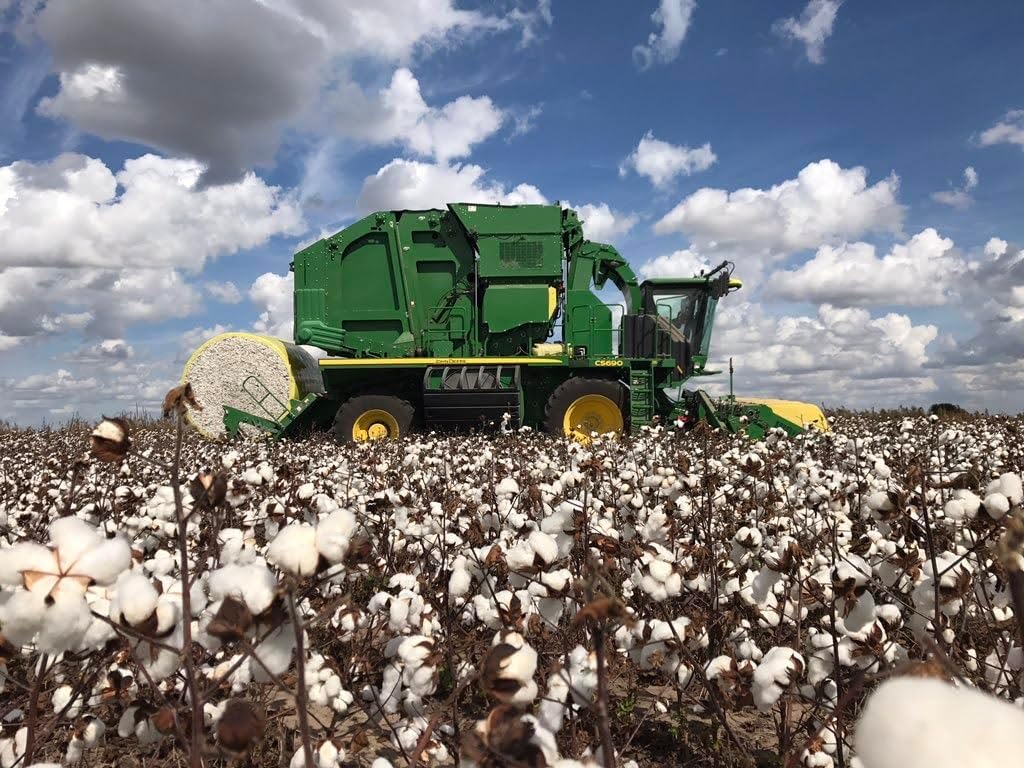 Grown in The USA Raw Cotton Stuffing/Batting. (3lb)