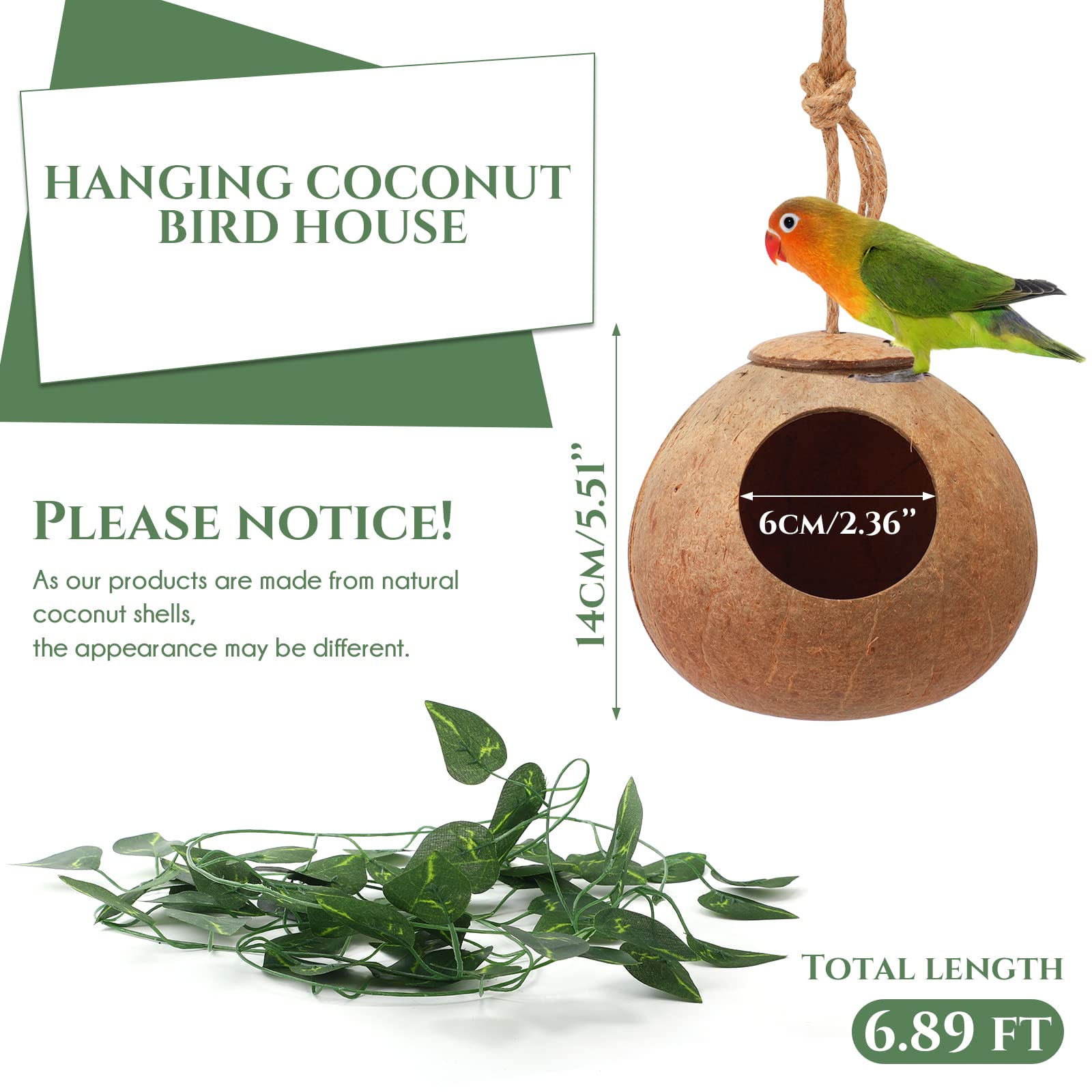 Skylety Bird Nests