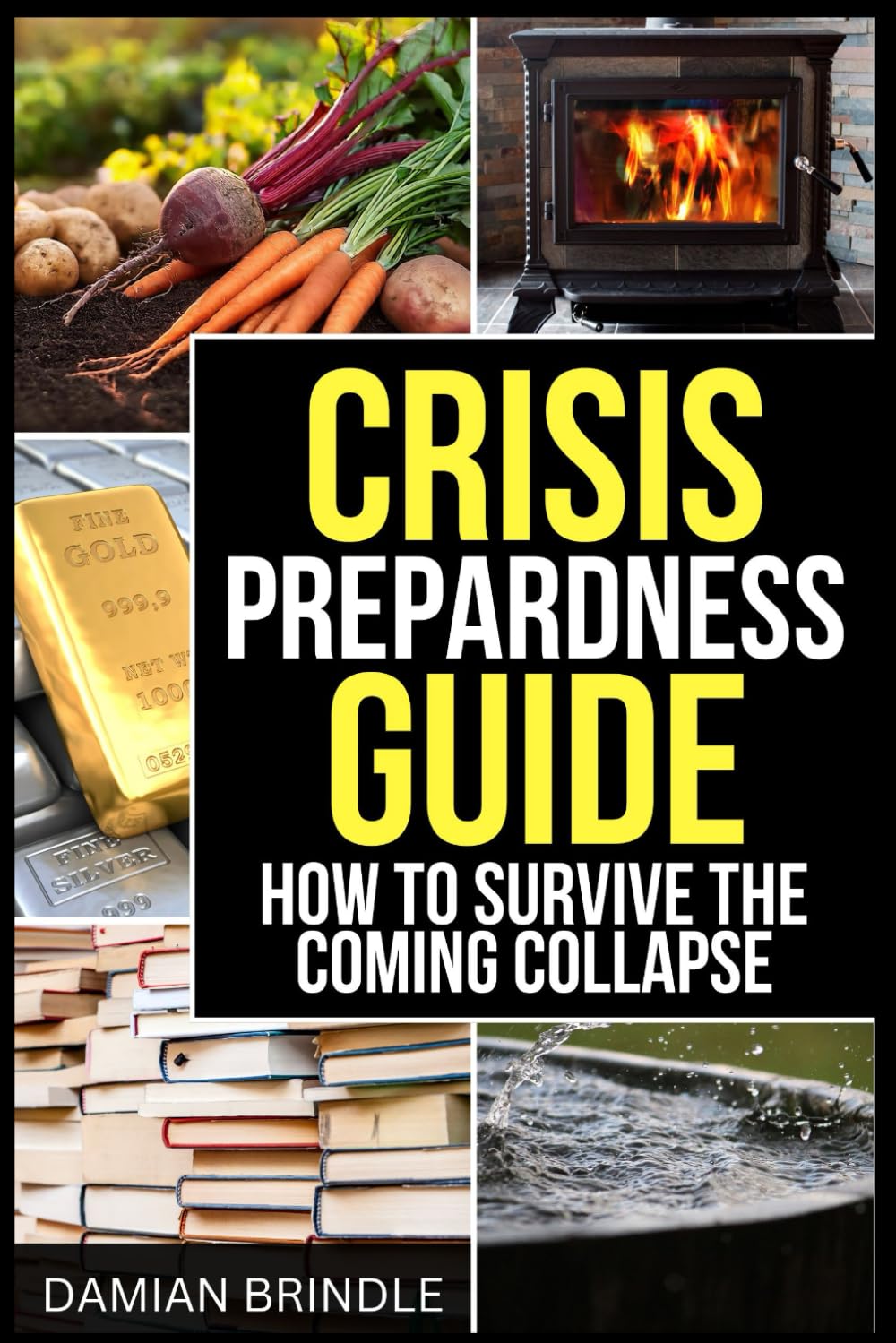 Crisis Preparedness Guide: How to Survive the Coming Collapse (The Survival Collection)