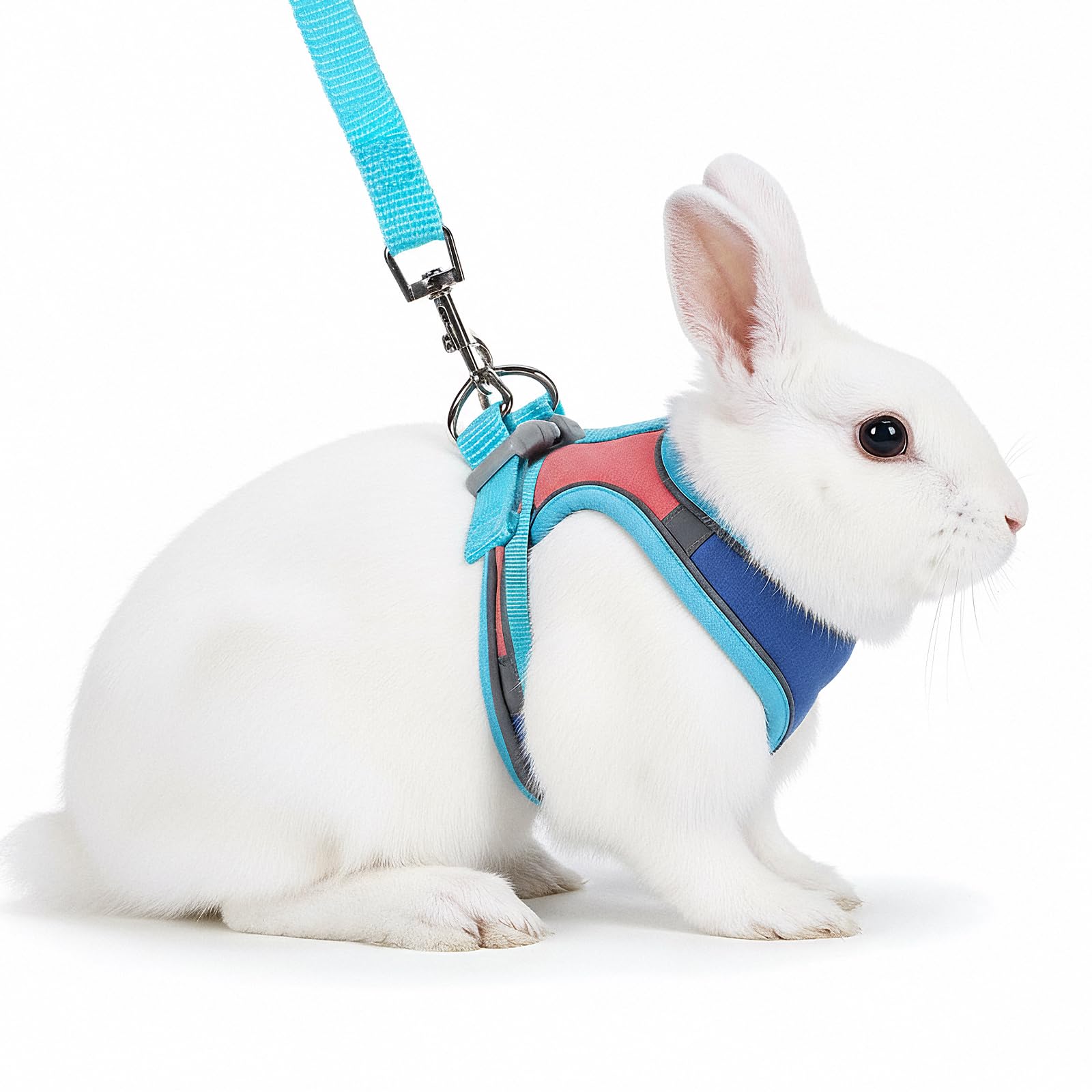 Harnais souple pour lapin avec laisse réglable pour lapin - Accessoires pour chatons - Harnais pour chats et autres petits animaux de compagnie - Bleu, M