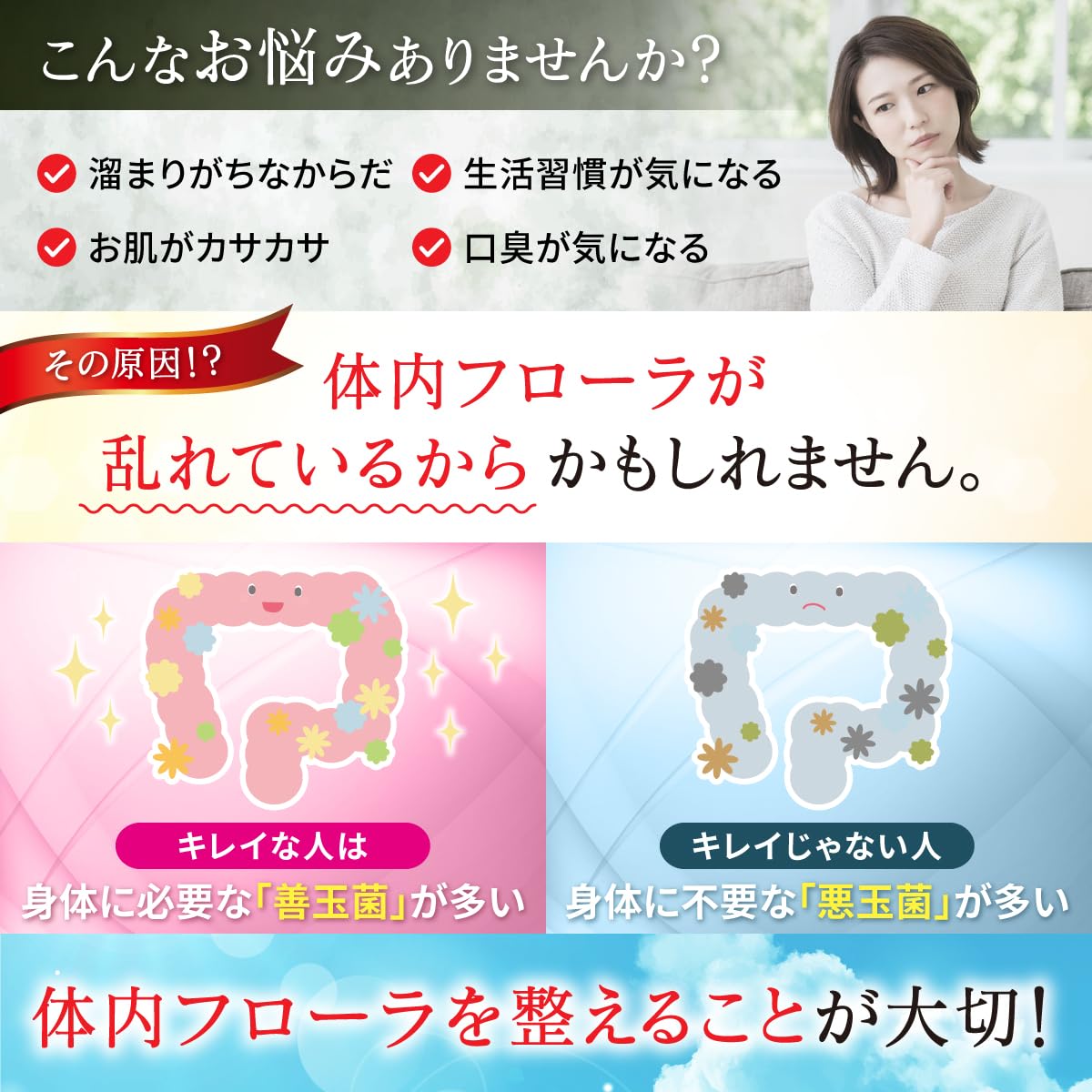 Amazon | 元気を届ける乳酸菌＆ビフィズス菌 17種類 乳酸菌 6種類 
