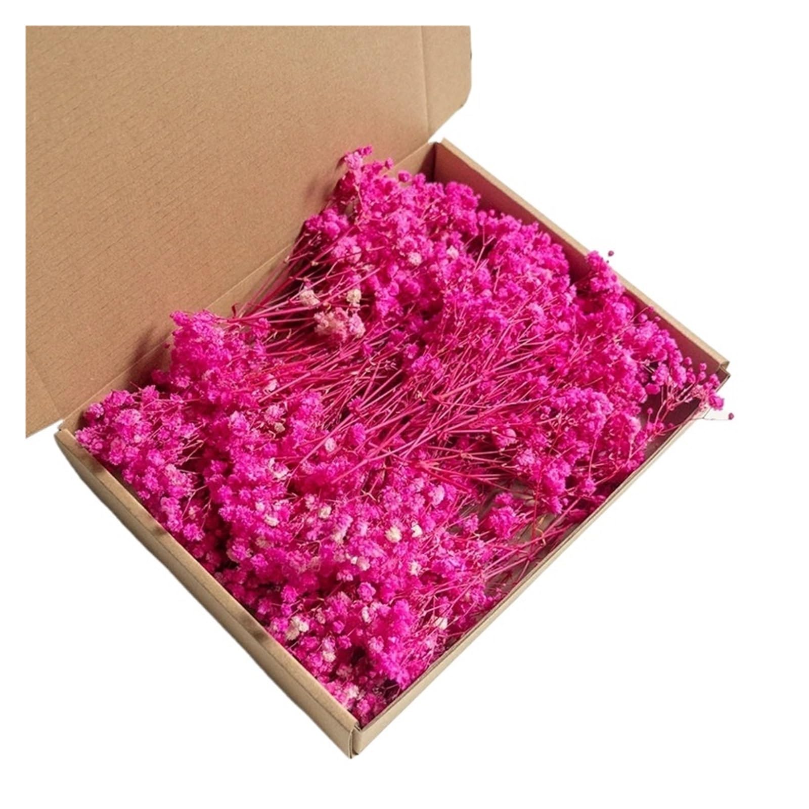 WJIAYAO dried gypsophila flowers 100pcs Mini Dried Baby's Breath Flowers Dry Flower Gypsophila DIY Aromatherapy Wedding Party Photo Deco(Color5)