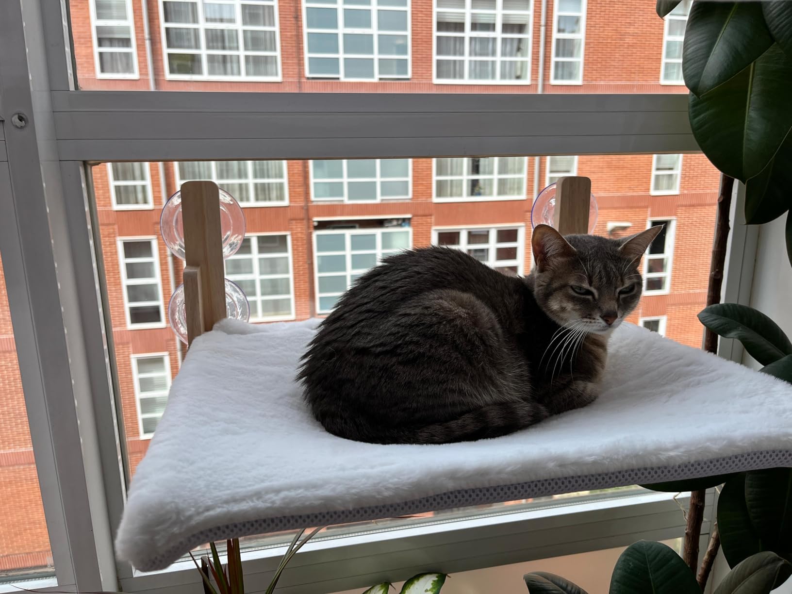 Hamaca para Gato de Ventana - Blanco