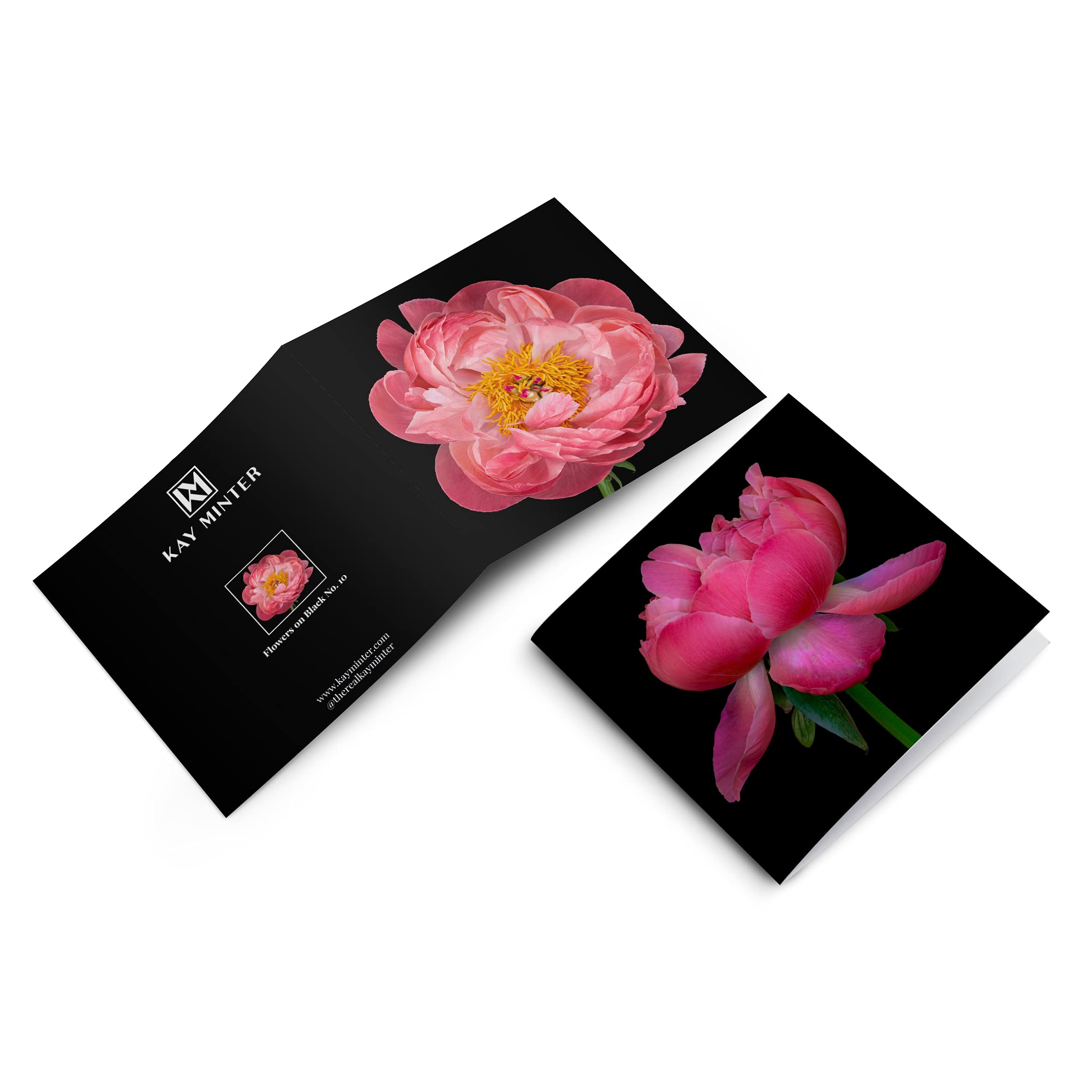 Kay Minter Luxury Greeting Cards - Peony Flower Art on Black - Selection Pack of 4 with Envelopes - Blank Inside - Image 3