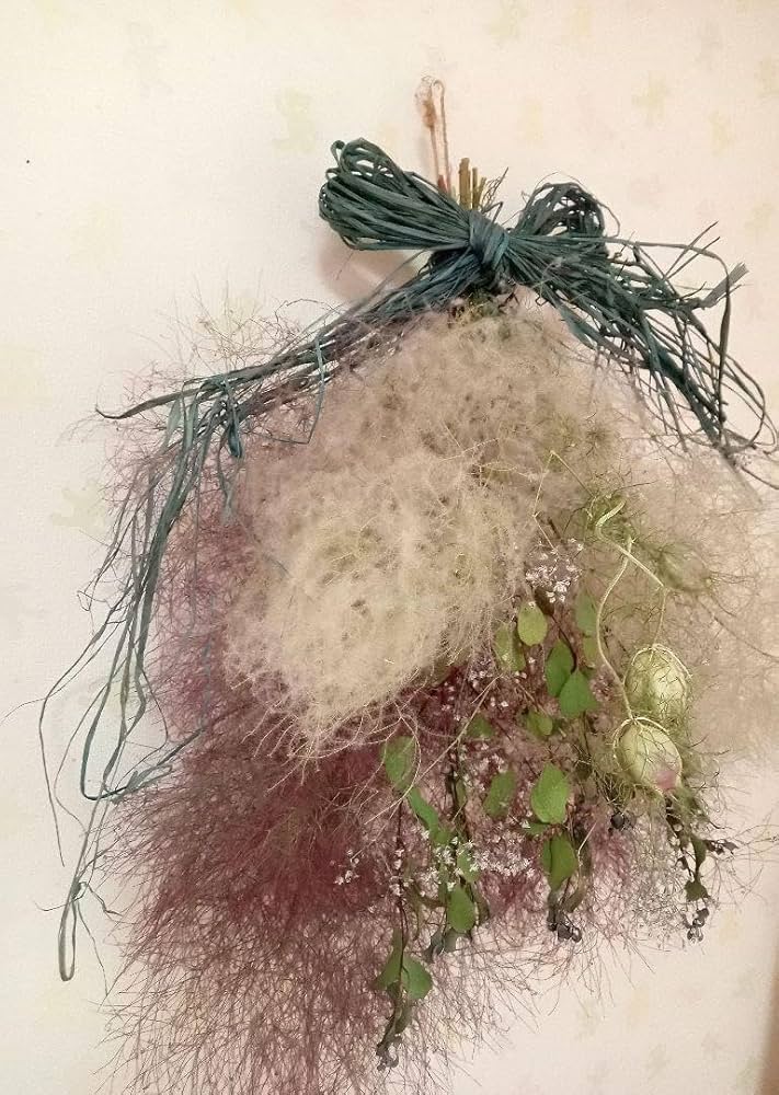 Amazon | スモークツリースワッグ ドライフラワー スモーク