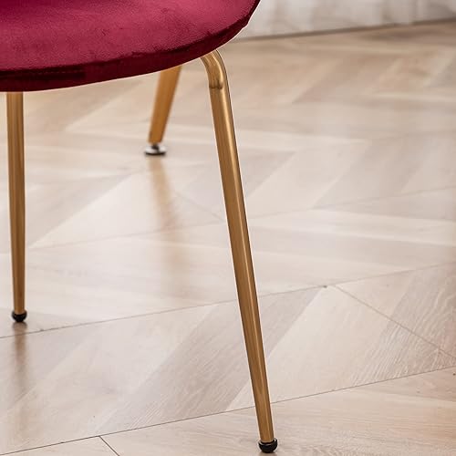 Miniatura 6 de Everett - Silla de comedor moderna de terciopelo con patas chapadas en oro duraderas, juego de 2, color rojo