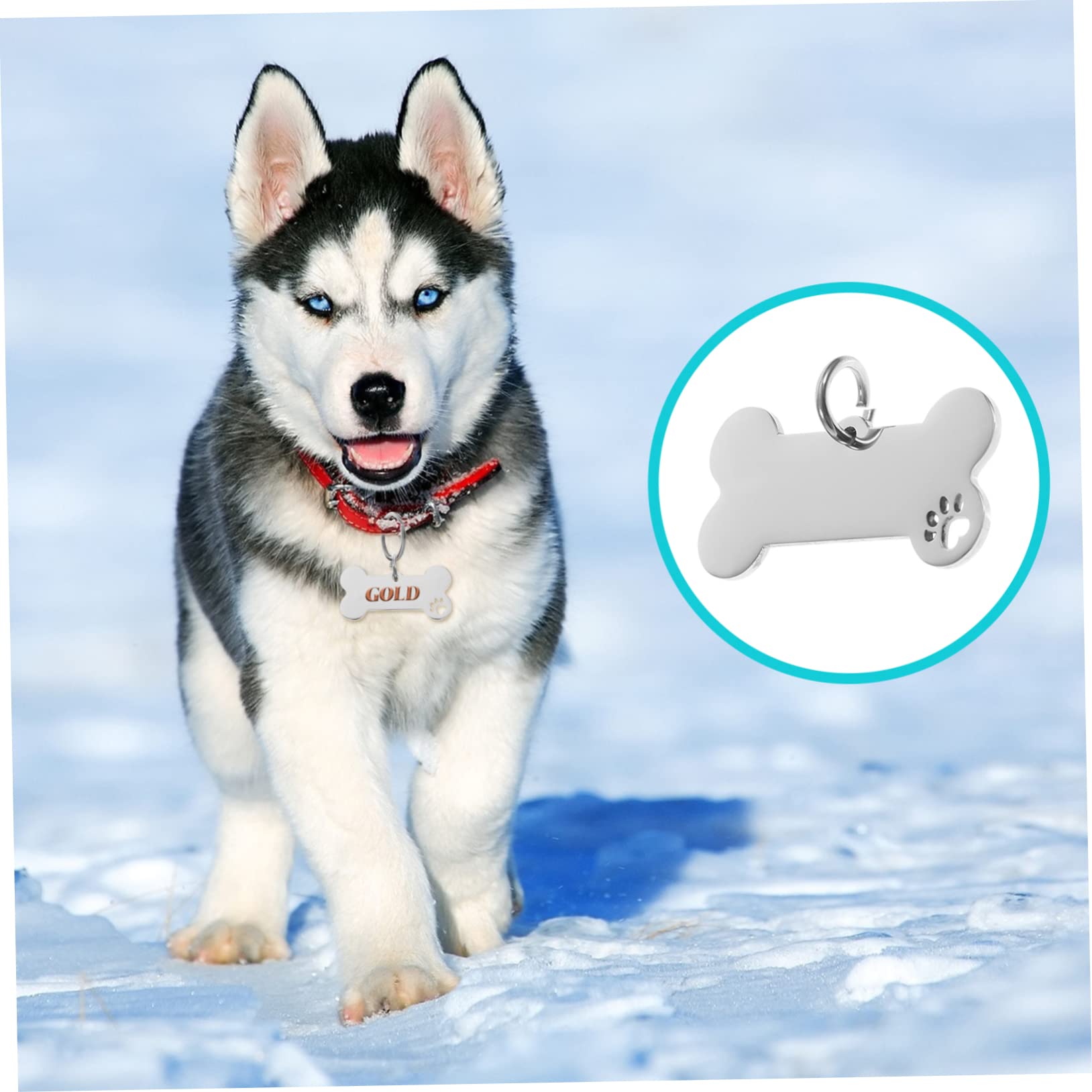 SUPVOX 20pezzi Medagliette Identificative Acciaio Inossidabile Per Animali Domestici Targhette Forma Di Osso Per Cuccioli Accessori Antismarrimento Incisi Design Elegante e Durevole Per