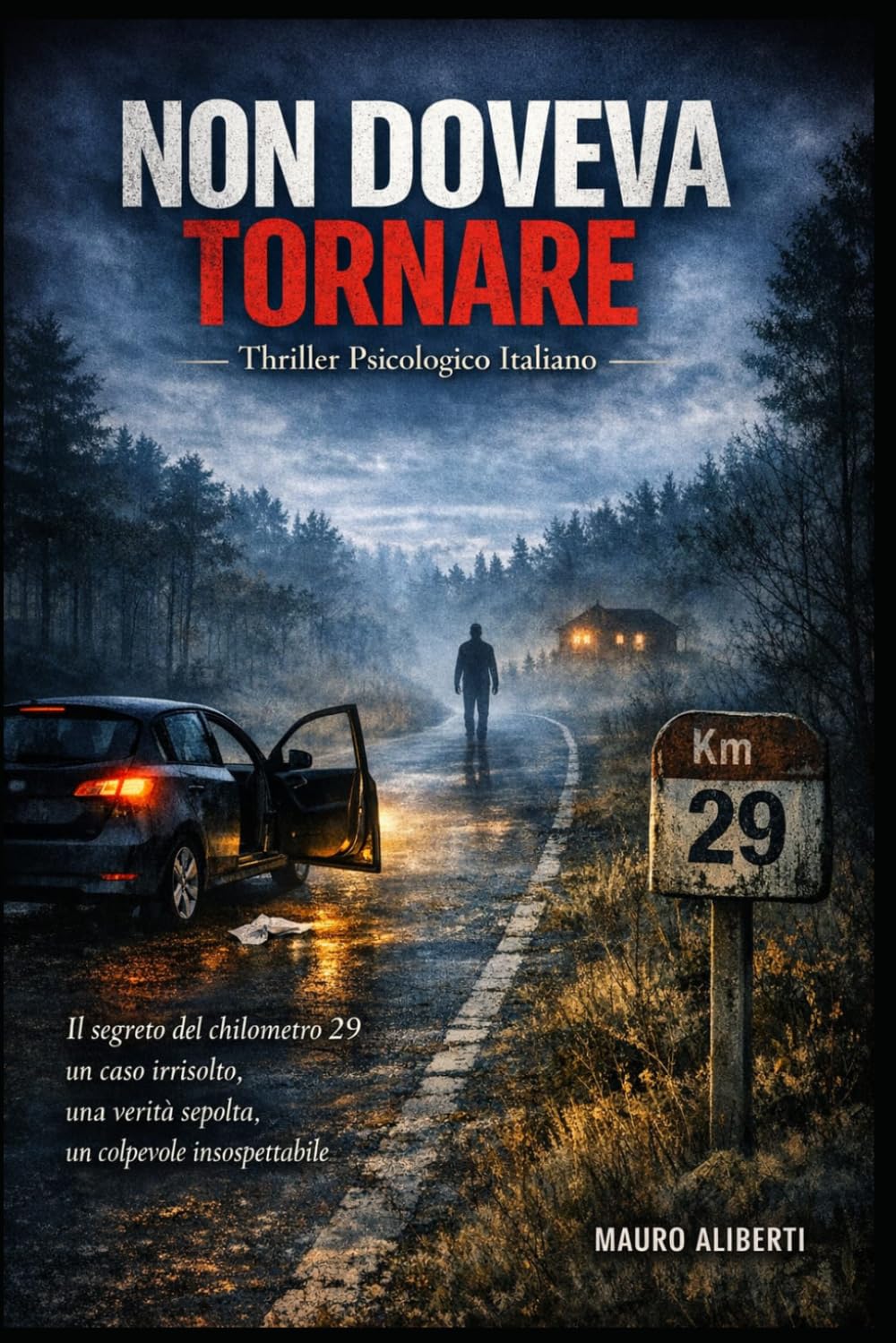 NON DOVEVI TORNARE: Thriller psicologico italiano: il segreto del chilometro 29 — un caso irrisolto, una verità sepolta, un colpevole insospettabile