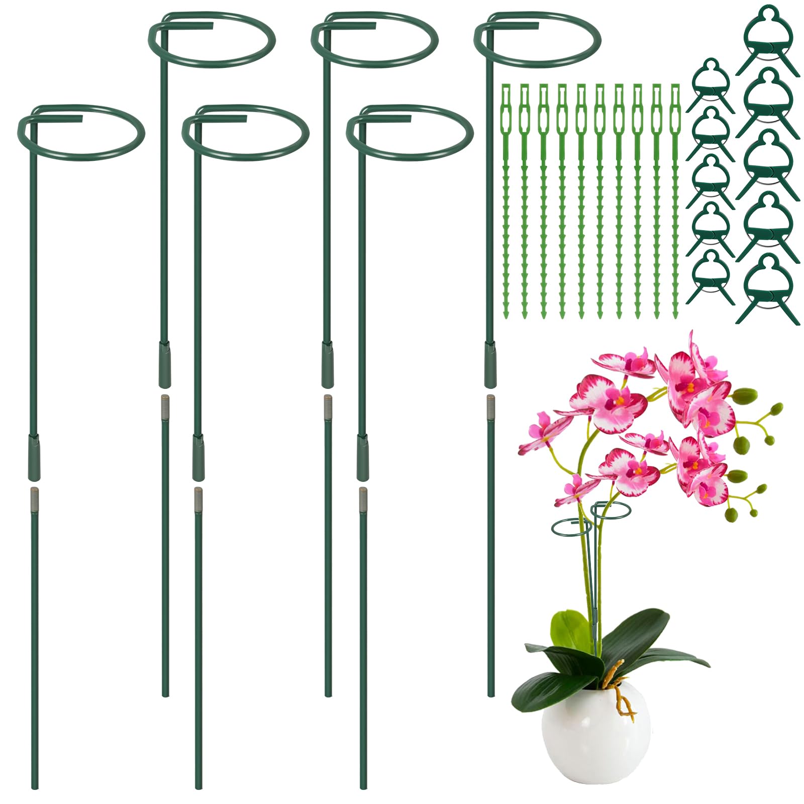 Adiwo 6PCS 60cm Garden Single Stem Support Stake, Removable Extended Amaryllis Plant Cage Support Rings,with 10 PCS Plant Clips and 10 PCS Flexible Cable Ties, for Flower Orchid Peony Rose Shrub
