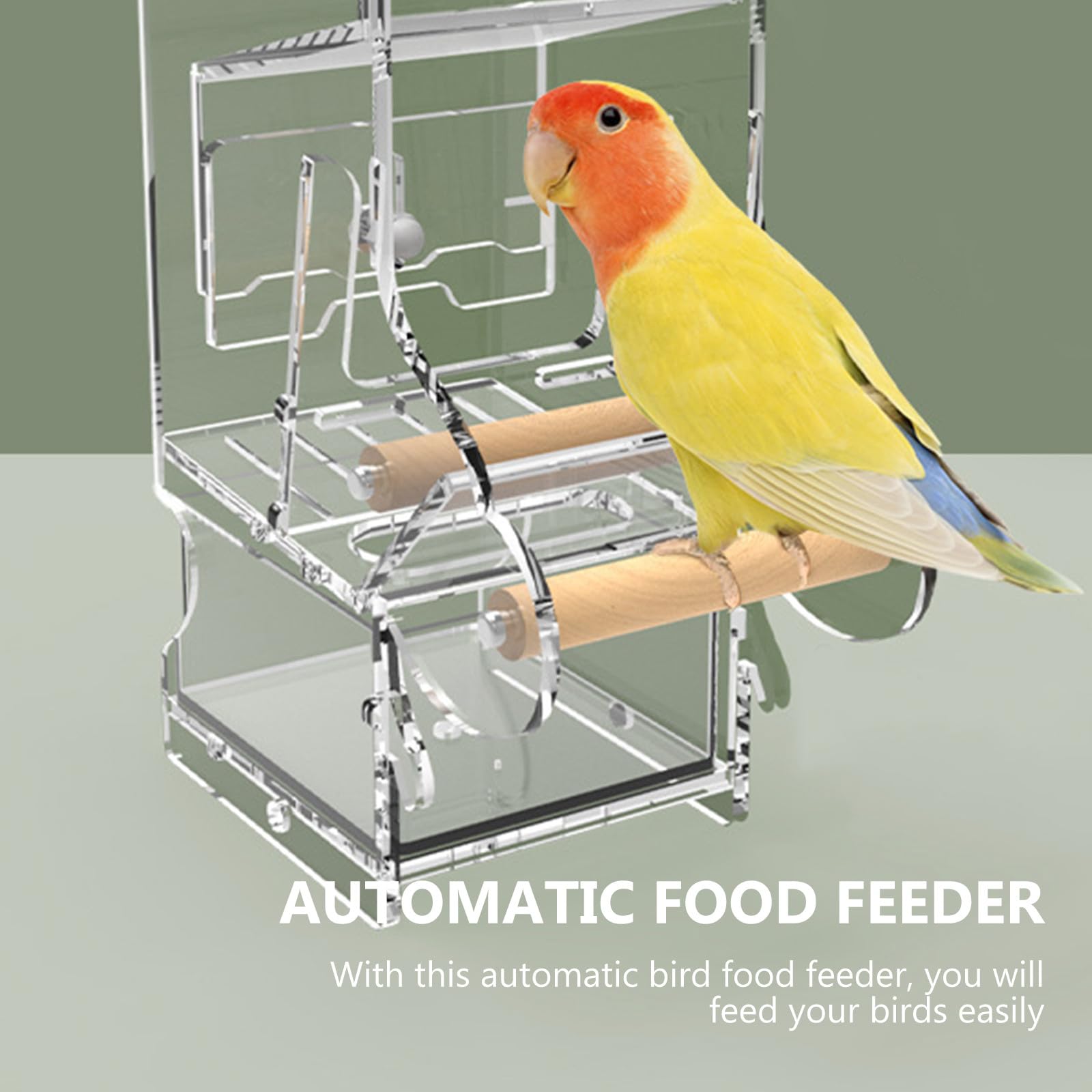 SEWACC Mangeoire Automatique pour Oiseaux Distributeur De Nourriture pour Cage à Oiseaux Mangeoire Transparente pour Petits Et Perroquets