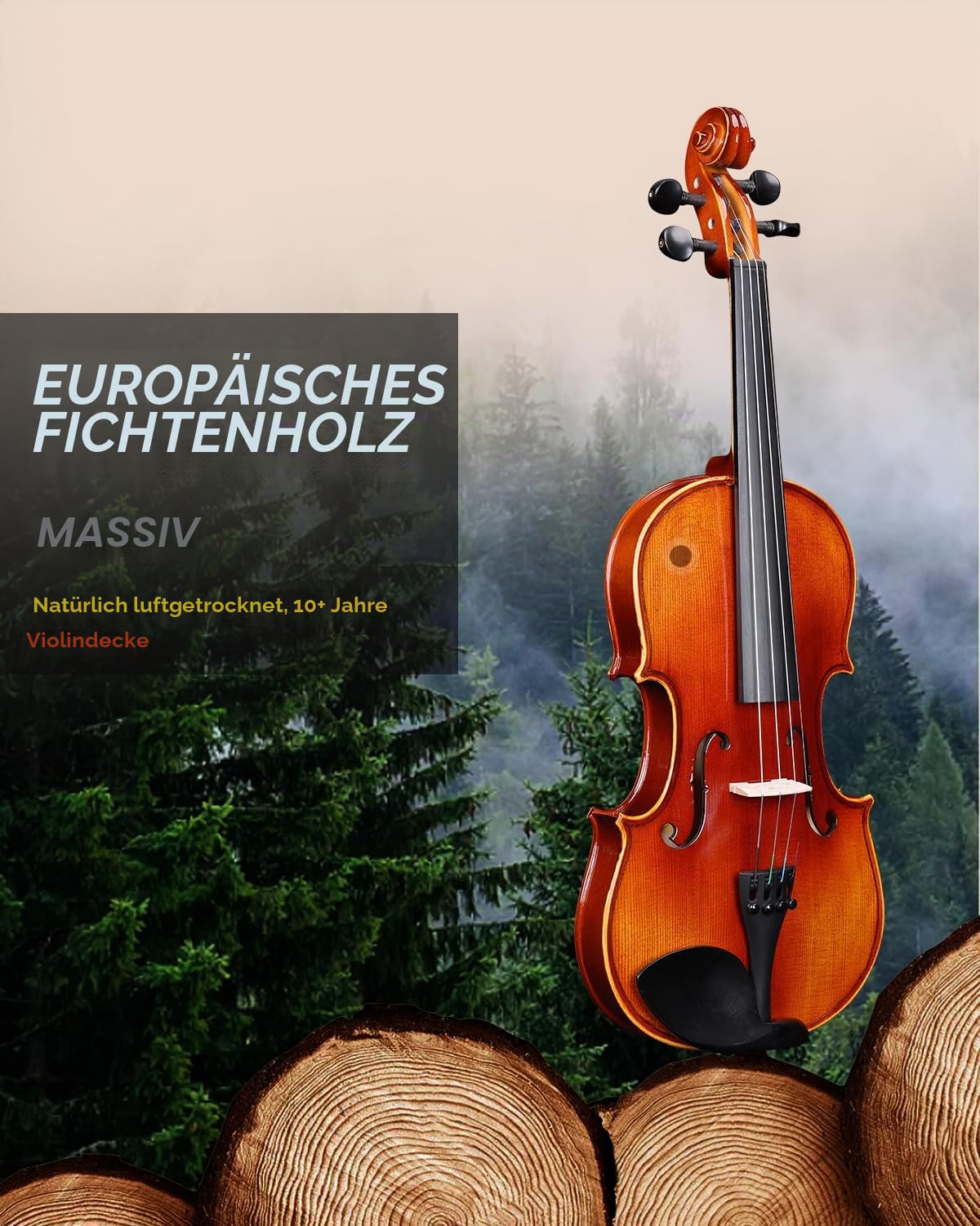 Aileen 4/4 Geige Erwachsene Anfänger, Violine Set für Kinder ab 12+ Jahre, Massive Europäische Fichte Violine mit Notenständer