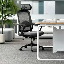 Cadeira Escritório Presidente Ergonomica Ergopro One Nr17 Cor Cinza/preto