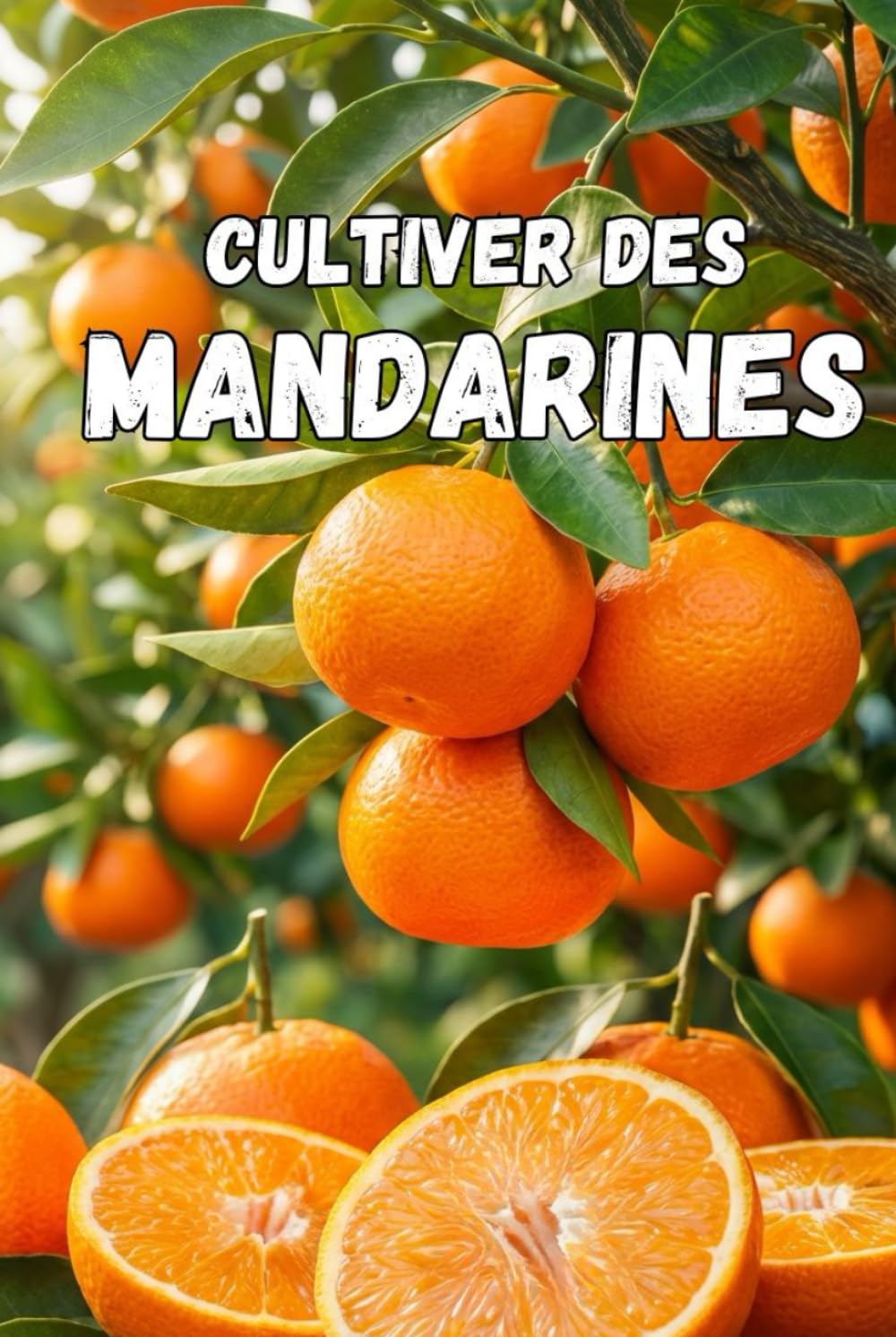 Cultiver des mandarines: Guide complet de la culture des mandarines : variétés, plantation, entretien, protection contre les ravageurs et technologies modernes pour une récolte de haute qualité