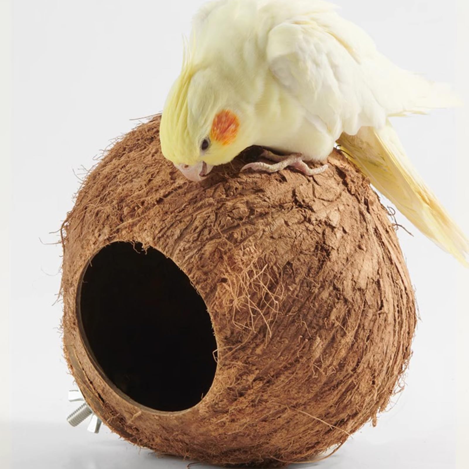 Casetta Per Uccelli In Legno Shabby Chic Con Tetto Verde – Giardino E Bombi