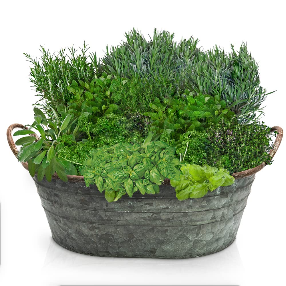 Vasca zincata – Ciotola per piantare – Decorazione da giardino per esterni – Decorazione per matrimoni – Vaso da fiori – Grande fioriera (44 cm)