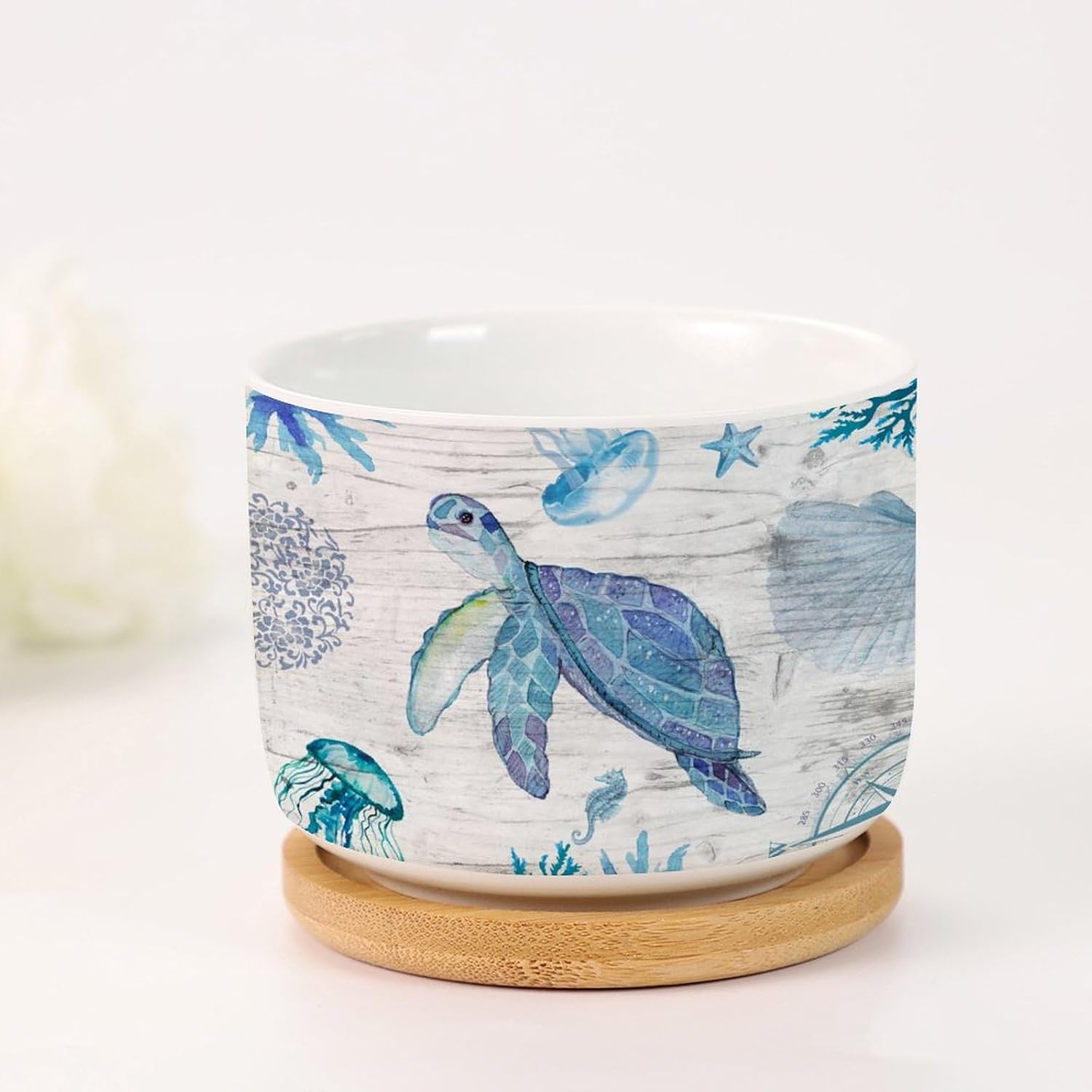 Ocean Beach Watercolor Sea Turtle Succulents Plants Live with Pot Set of 3 Small Ceramic Planter with Drainage Holes Beach Theme Ocean Ceramic Planters Housewarming Gift