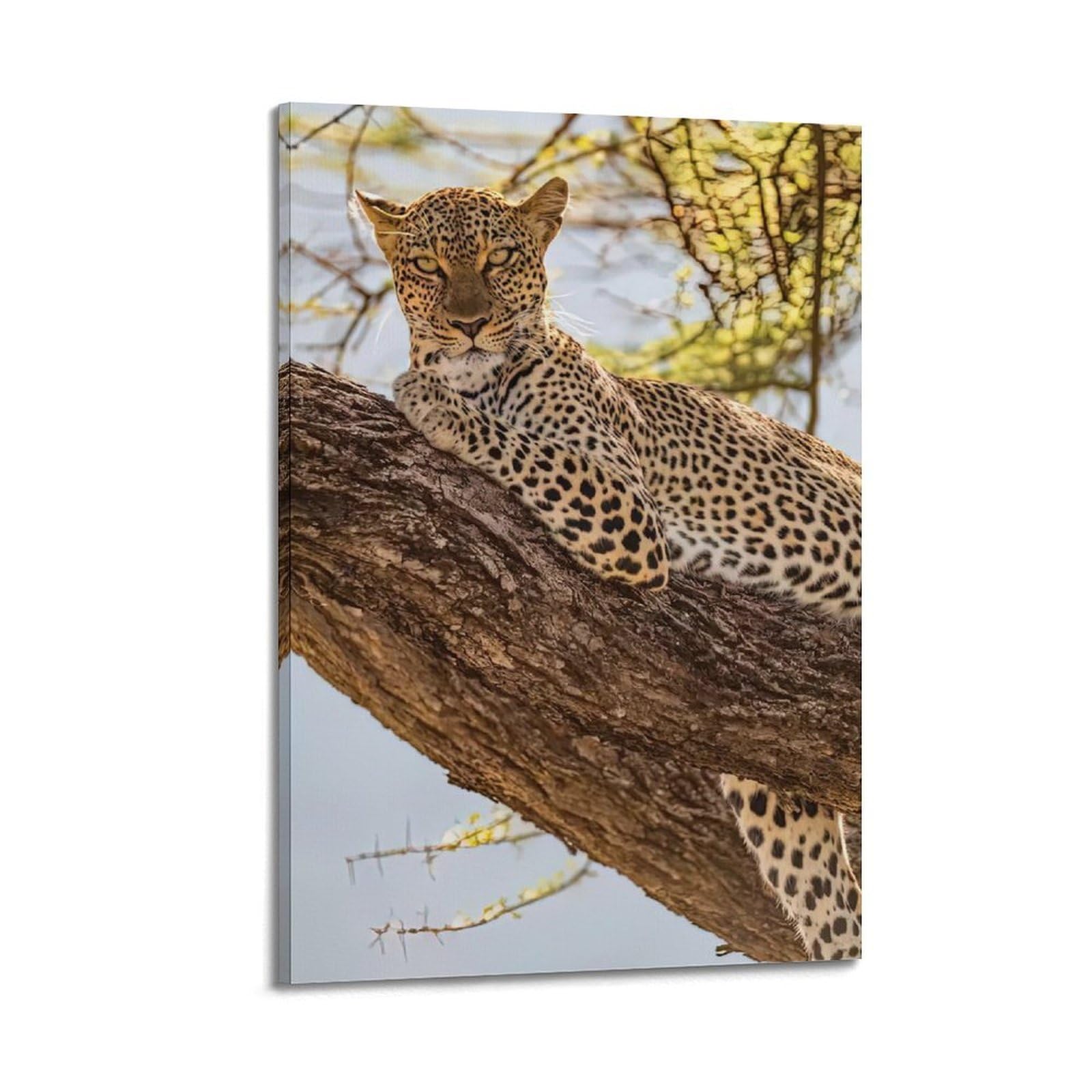 MJZLQN Animal Poster African Leopard in Tree Poster Decorative Painting Canvas Wall Posters And Art Picture Print Modern Family Bedroom Decor Posters 20x30inch(50x75cm)