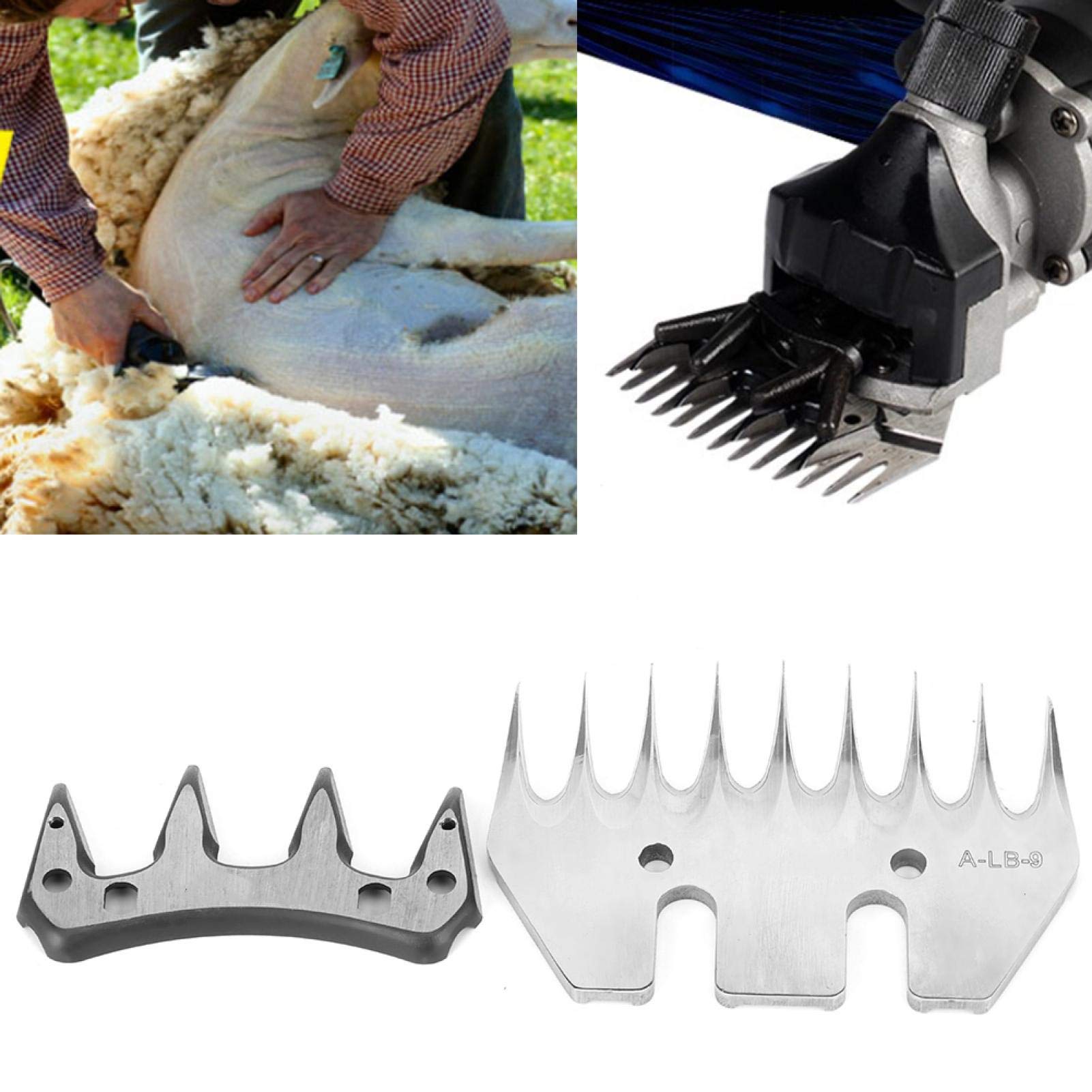 Lame de tondeuses de Moutons, Remplacement de coupeur de Cisaillement de Coupe d'acier Inoxydable(Lame Droite à 9 Dents)