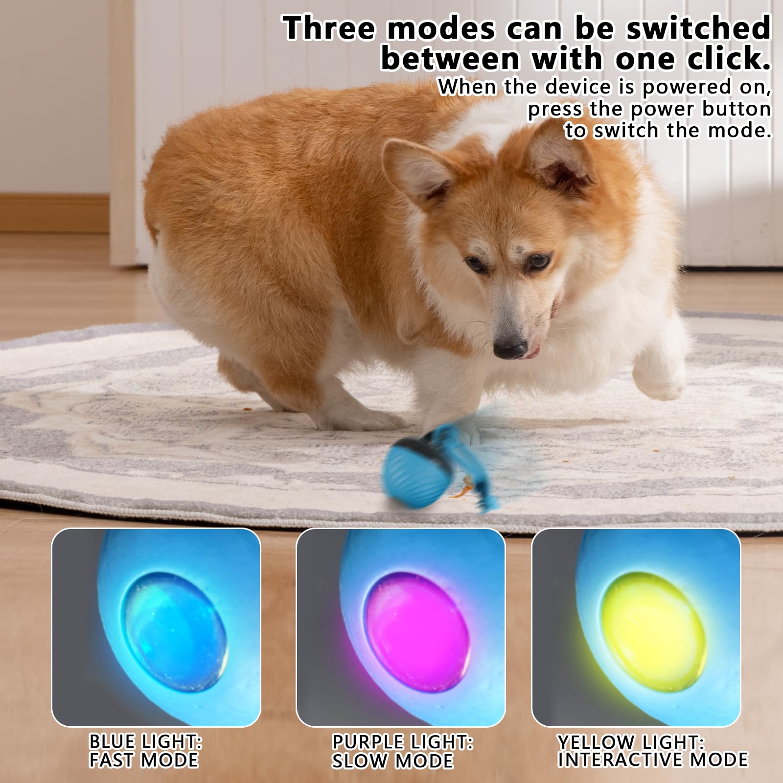 View 5