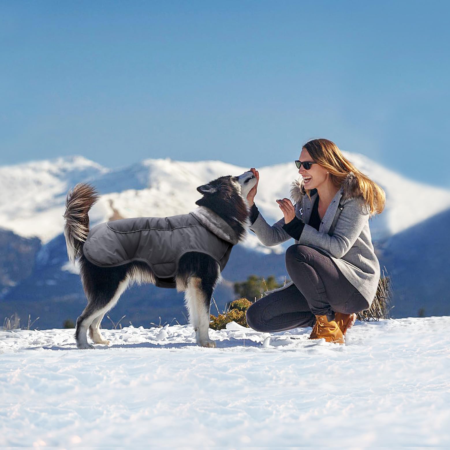 Idepet Chaqueta de Abrigo de Perro, Abrigo de Mascotas a Prueba de Agua, Traje de ensayo, Ropa de Perro a Prueba de Viento reflexiva para pequeños Perros Grandes Grandes Rojo Negro