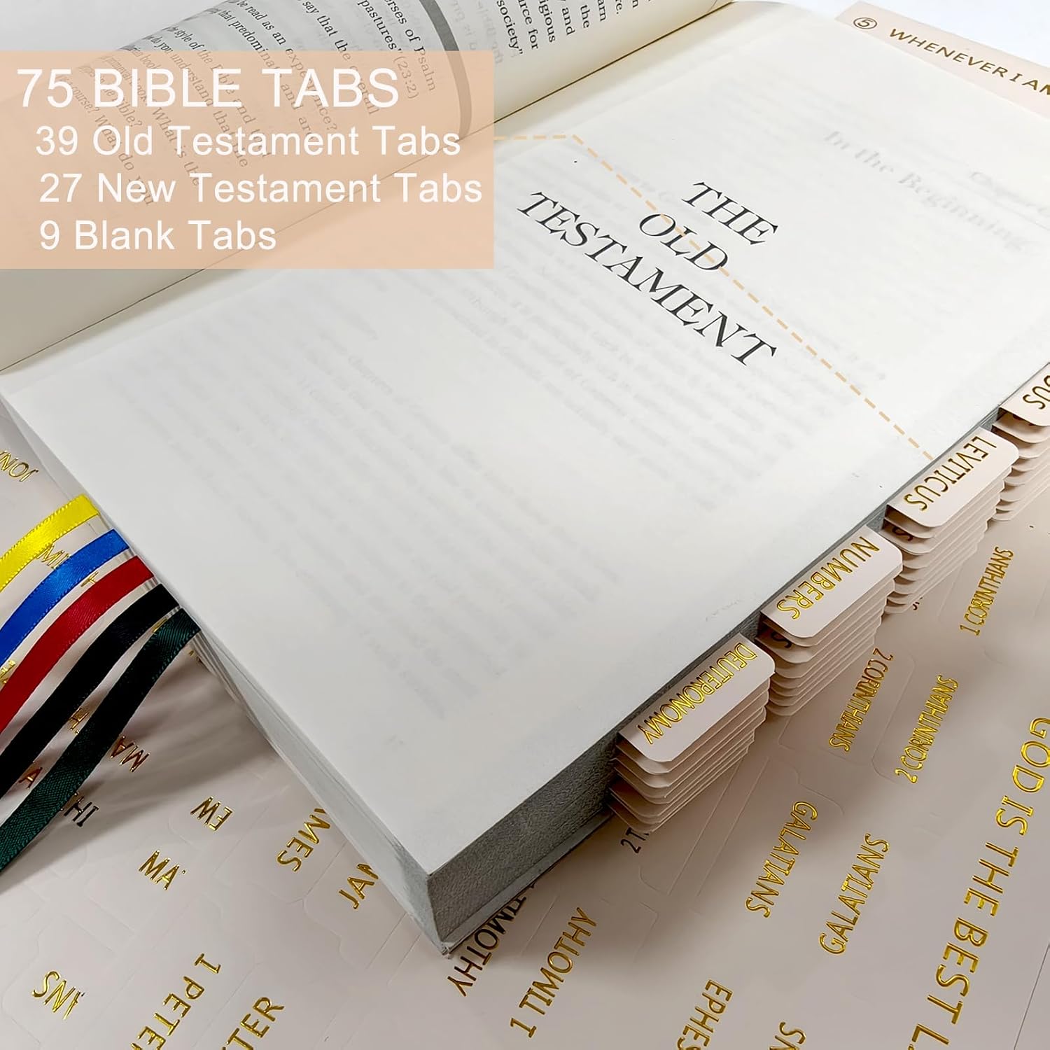 75 Chapters Laminated Bible Tabs, Gold Foil Lettering Design for Women Men image 3
