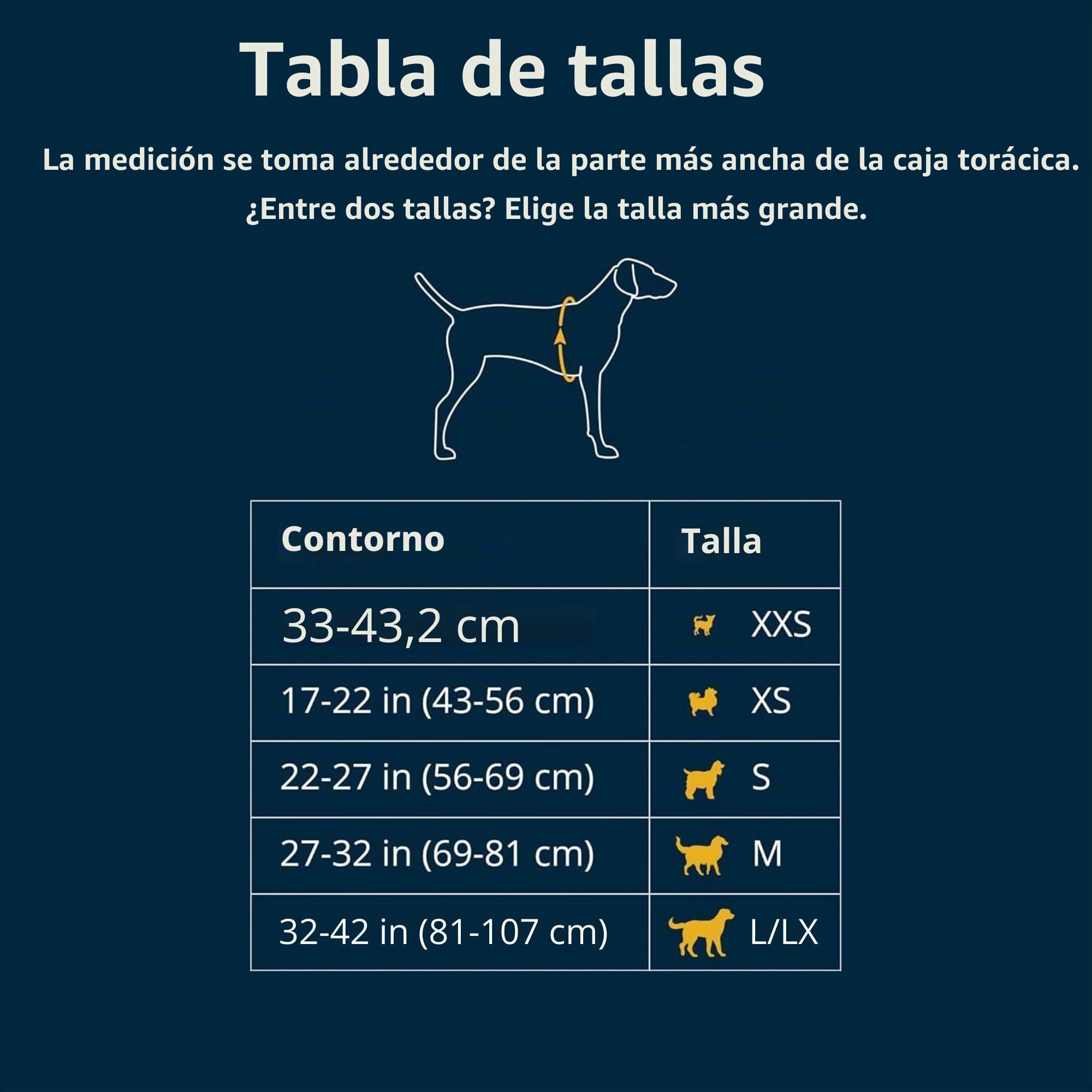 RUFFWEAR Arnés para Perro con asa, Flagline, Multiusos, Ligero, Ajustable, cómodo, para Caminar, 3 Puntos de fijación de Plomo, Correa Reforzada y Anillo en V de Metal Fuerte